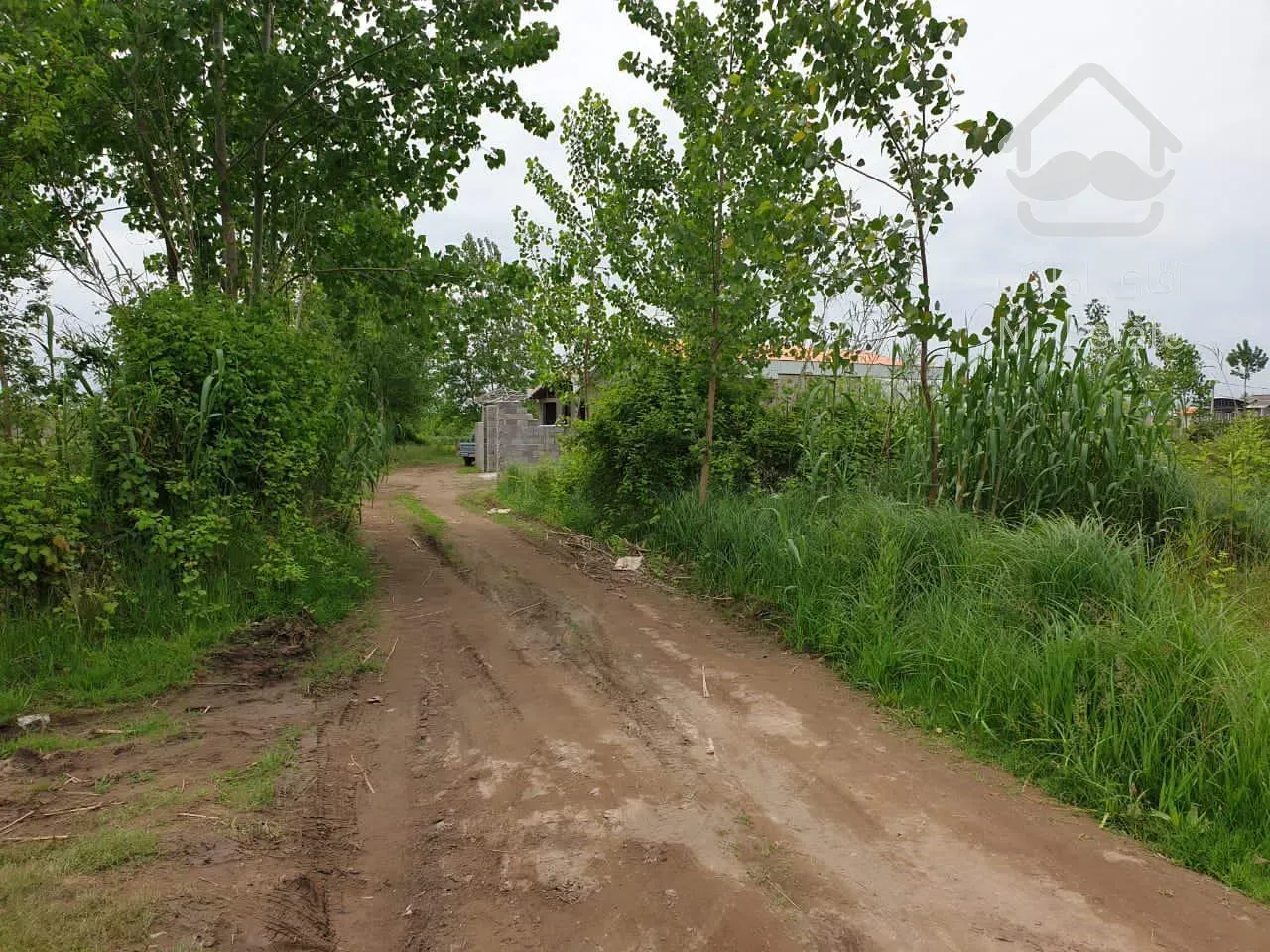 زمین مسکونی/در شهر ساحلی چاف و چمخاله