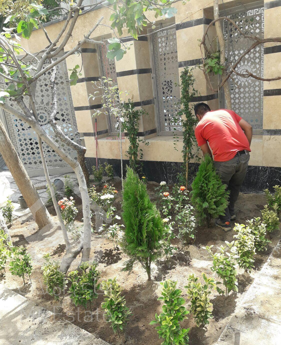 خدمات باغبانی سمپاشی هرسکاری بیل زنی نقاط تهران