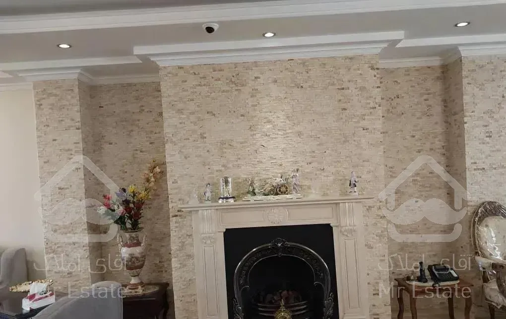 میرداماد - شاه نظری ( 205 متری )