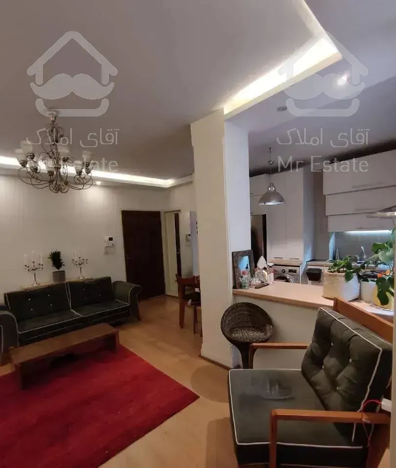 ۶۶ متر/ ۲ خوابه/ بازسازی شده