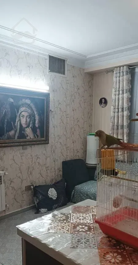 ۴۵ متری/فول/تک برگ سند/خوش نقشه