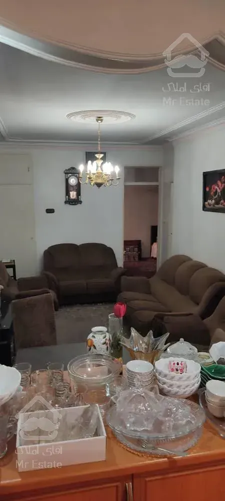 ۵۱متری یک خوابه دامپزشکی