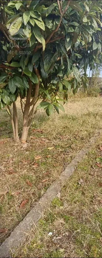 فروش ویژه زمین شهرکی امامرود