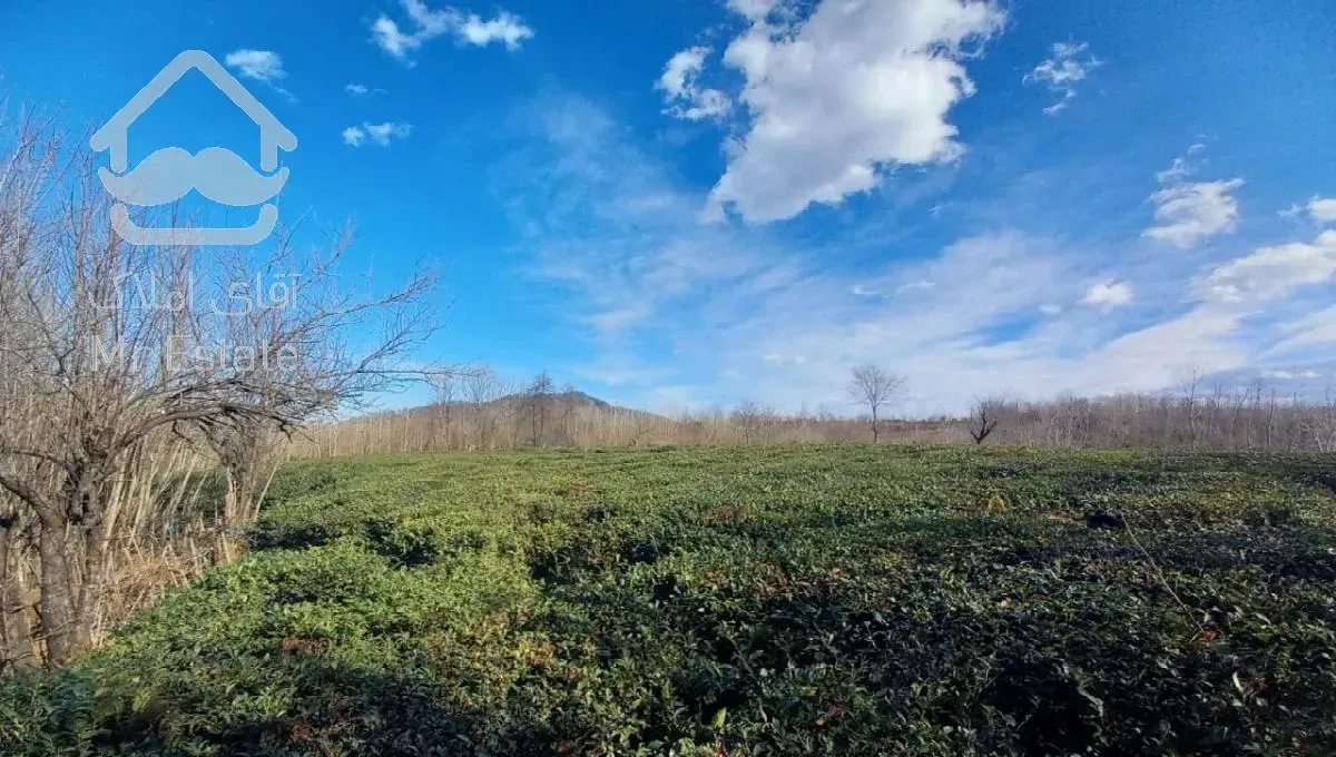 فروش فوری زمین روستایی خوب در ماسال گیلان شمال