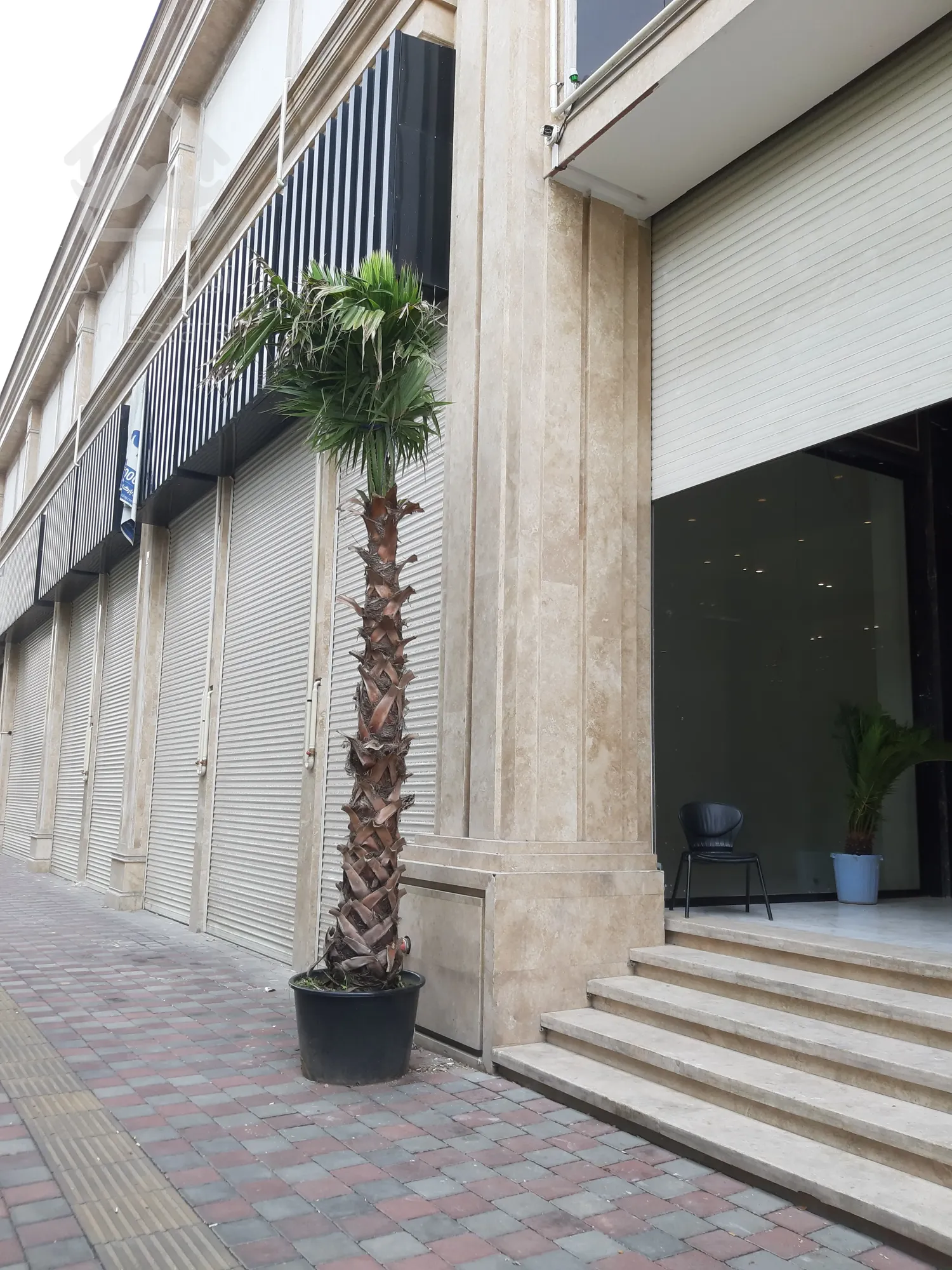 اجاره مغاره در رونیکا مال پاسداران با 3 ماه تنفس