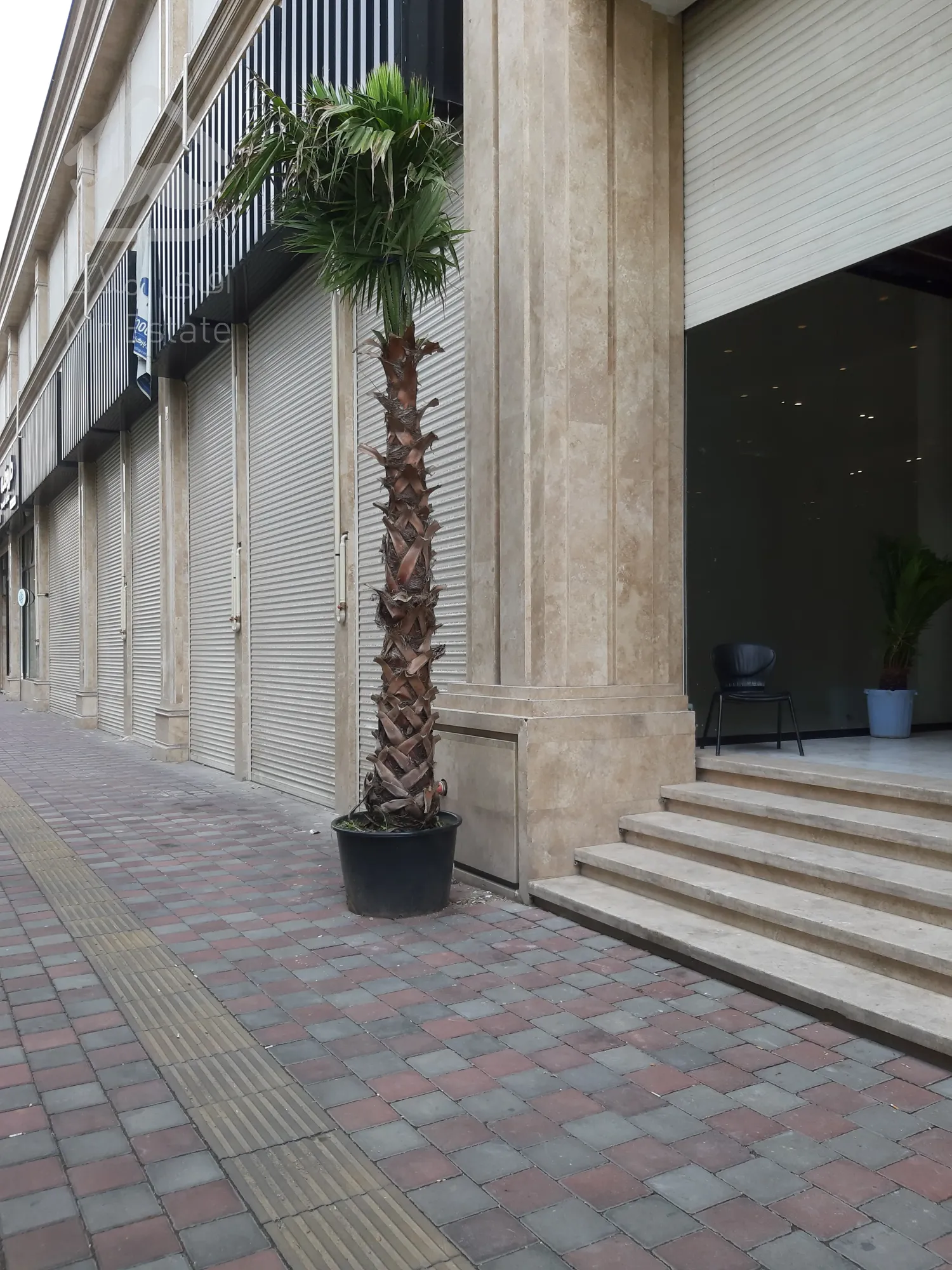 فروش مغازه 16 متری در رونیکا مال هروی