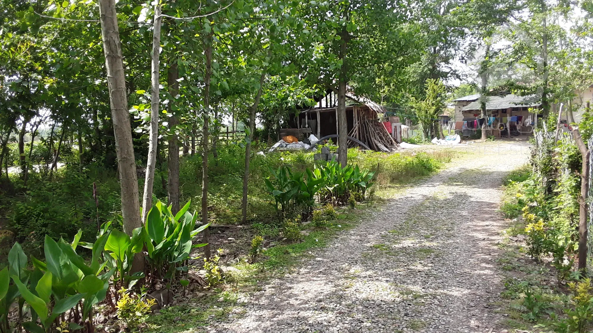 ۱۹۲۶ متر زمین در گیلان سیاهکل