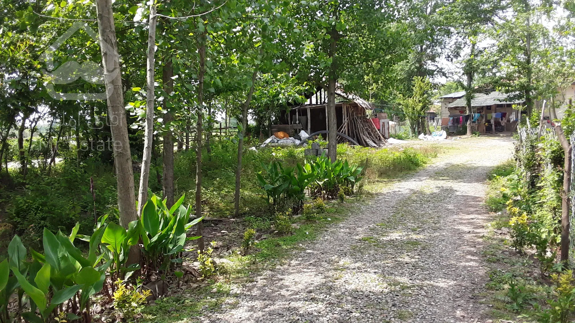 ۳۰۰ متر زمین مسکونی در گیلان سیاهکل