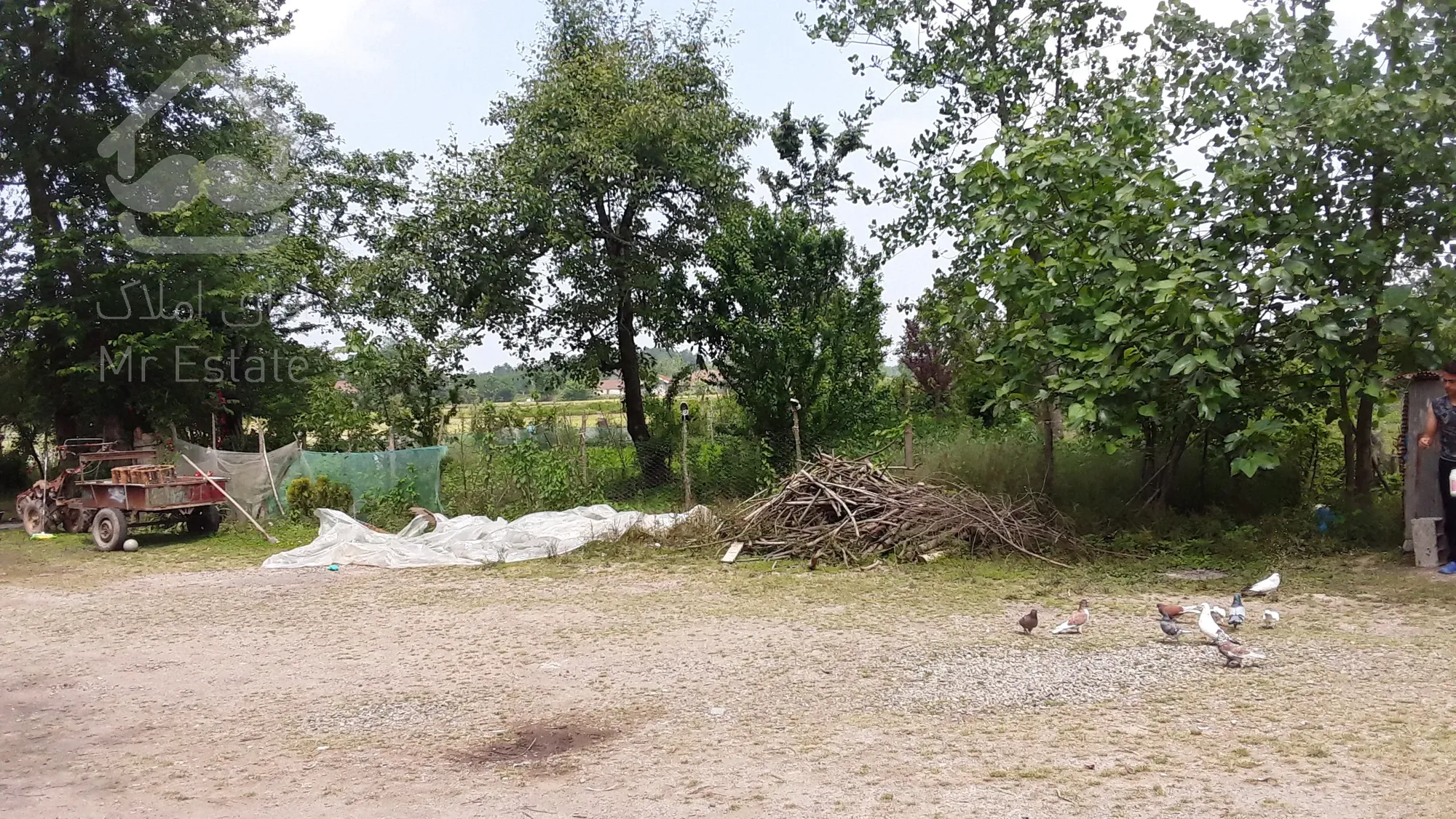 ۱۹۲۶ متر زمین در گیلان سیاهکل