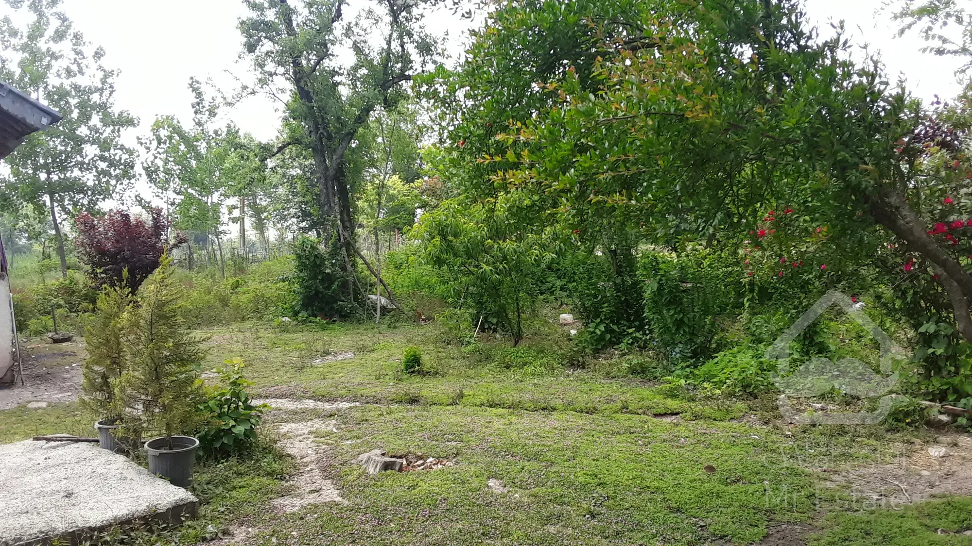 ۱۹۲۶ متر زمین در گیلان سیاهکل