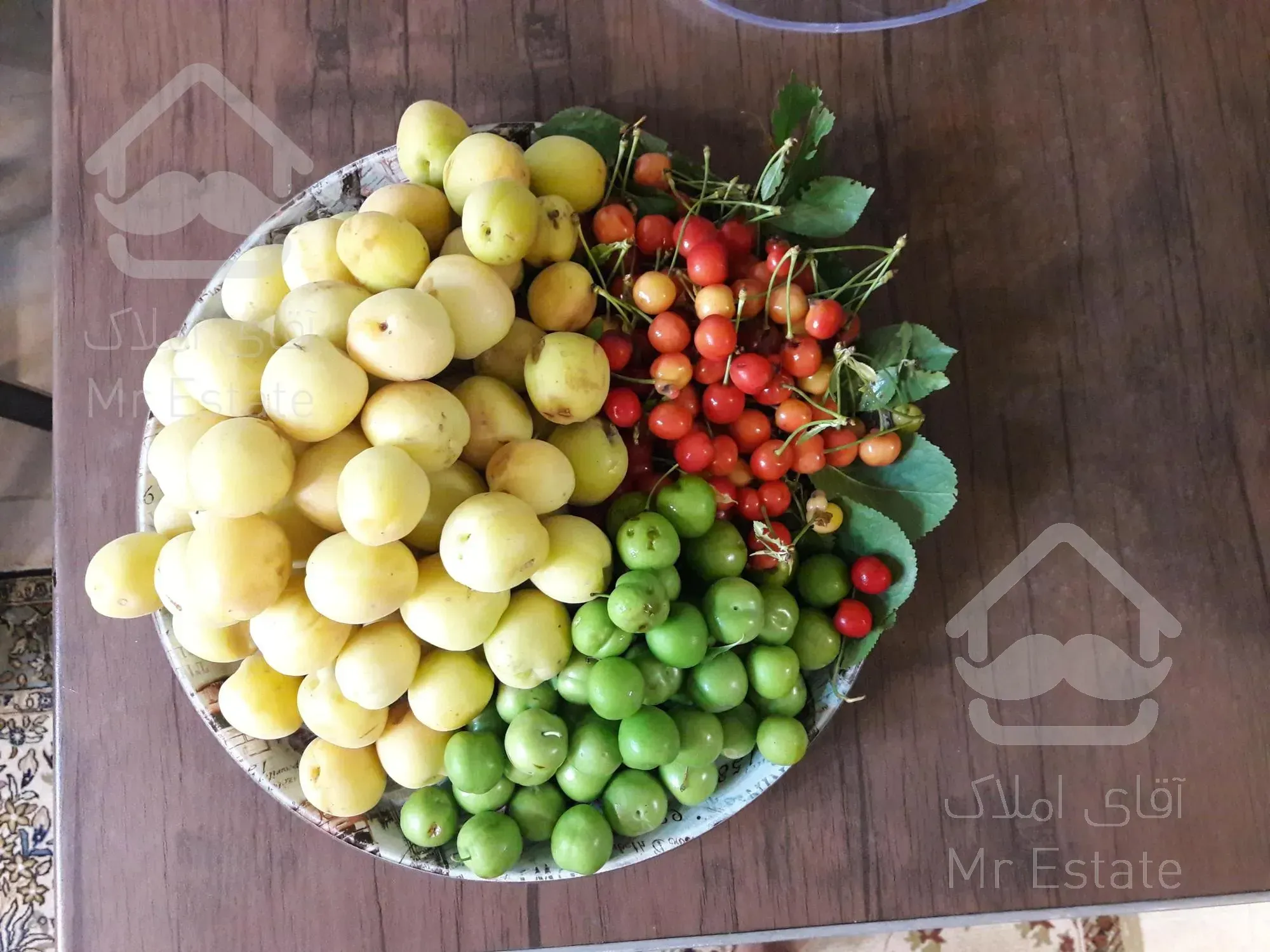 ۲۱۰۰ متر باغ مثمر.