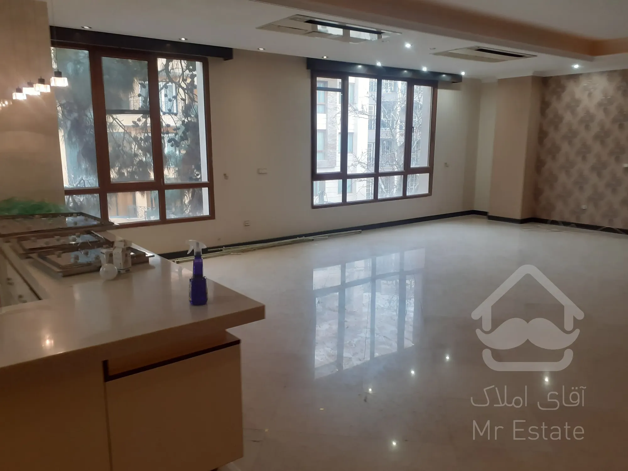 فروش 250 متری نیاوران