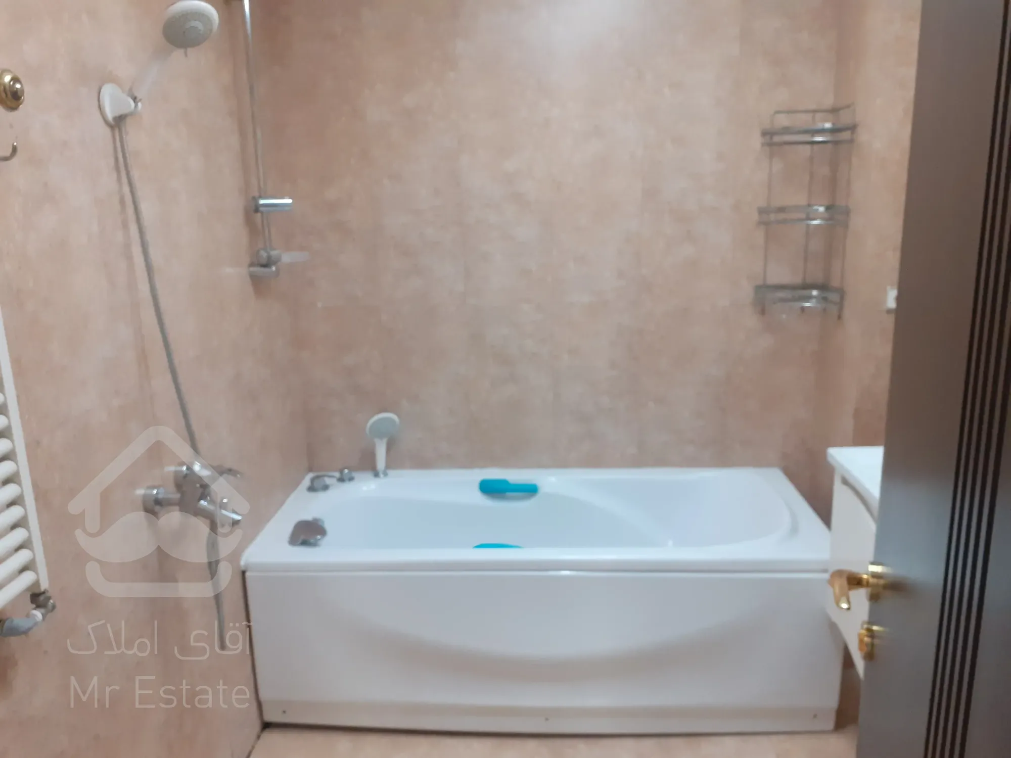 فروش 250 متری نیاوران