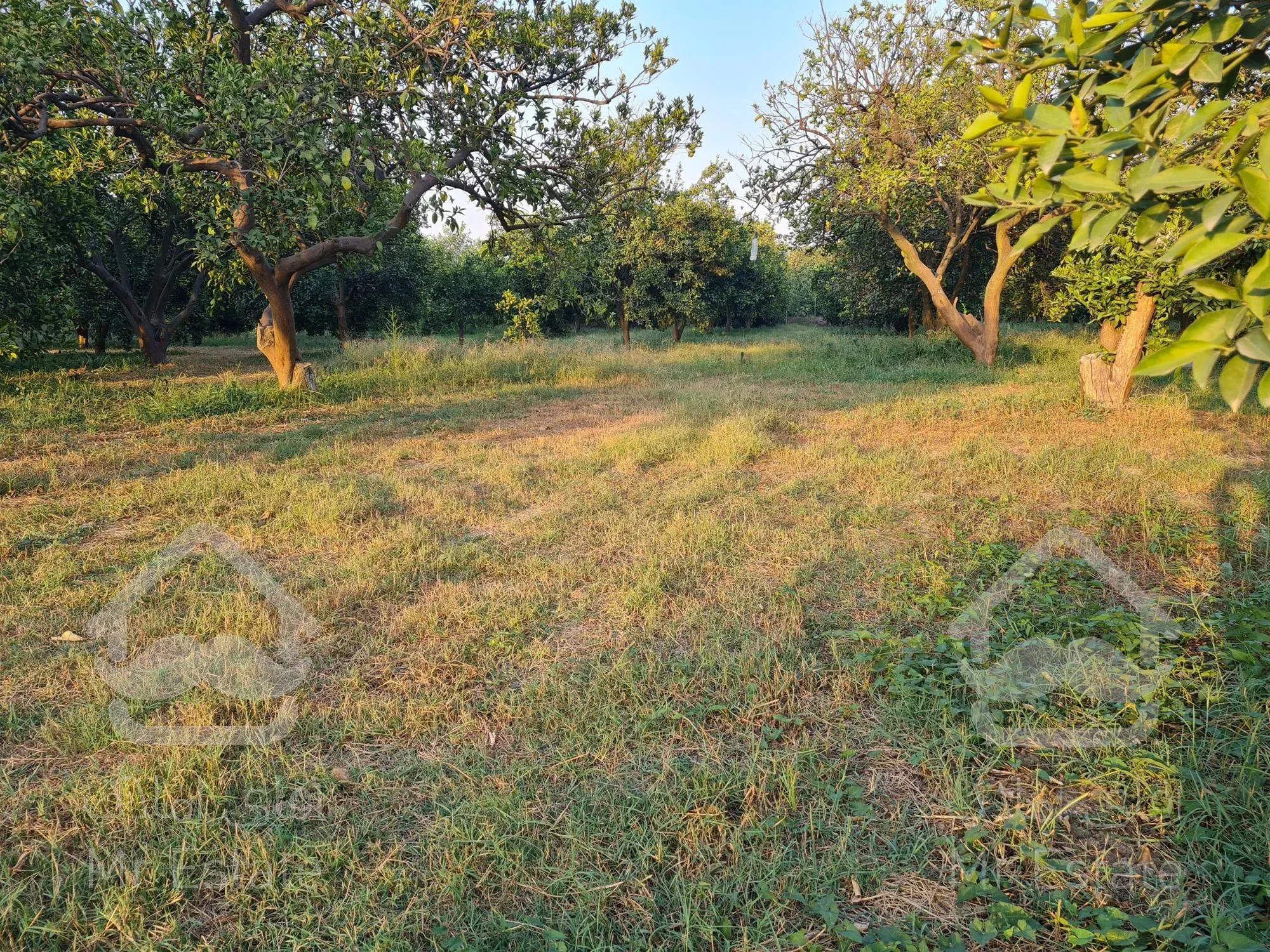 خانه باغ ۱۰ هزار متری