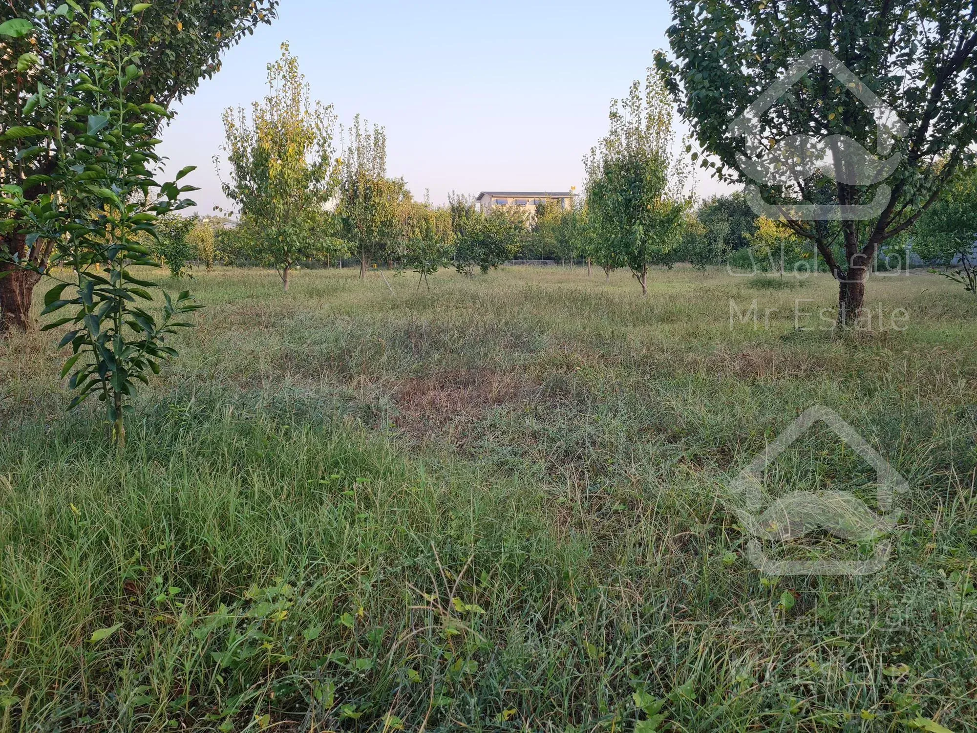 خانه باغ ۱۰ هزار متری