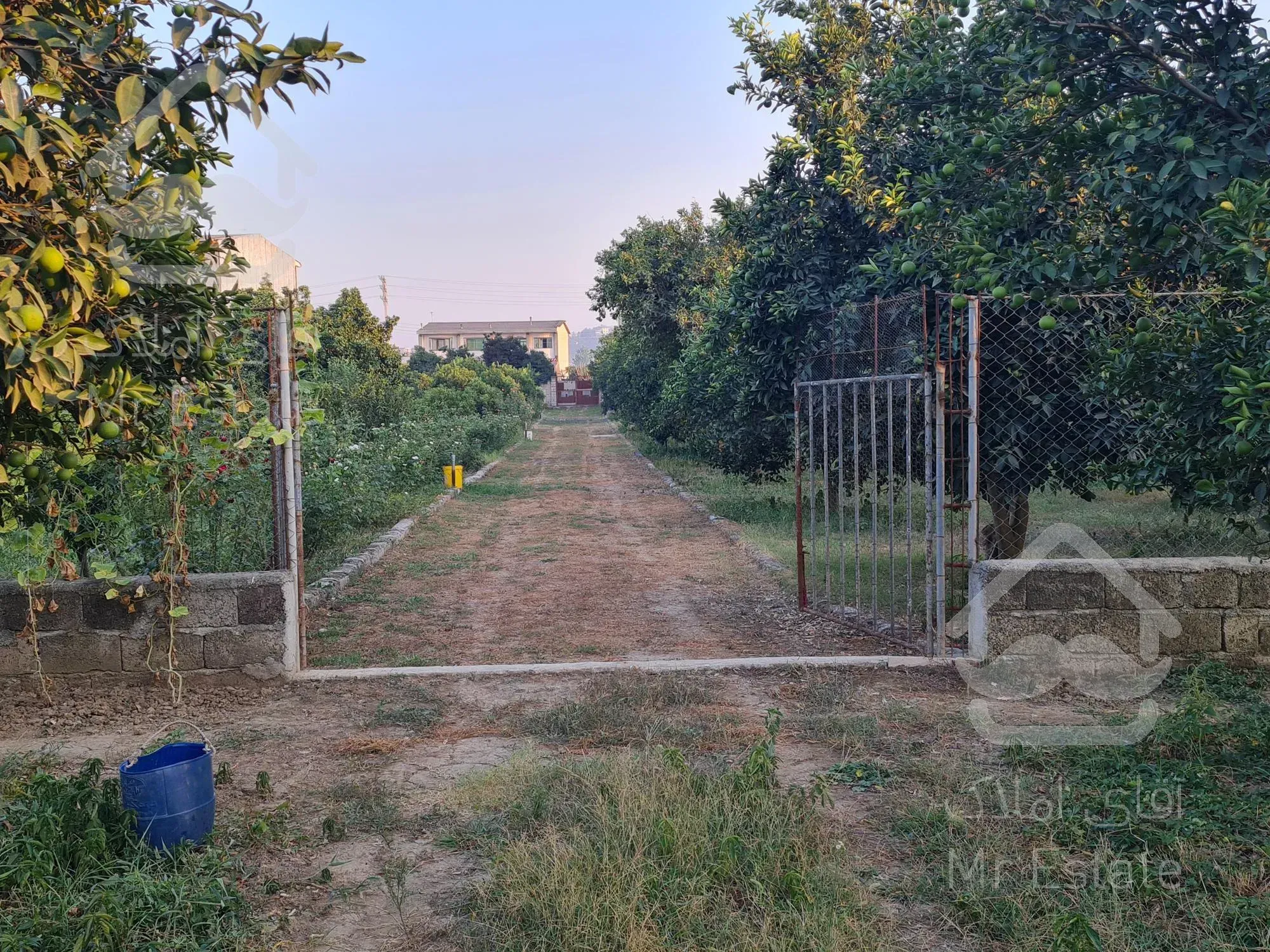 خانه باغ ۱۰ هزار متری