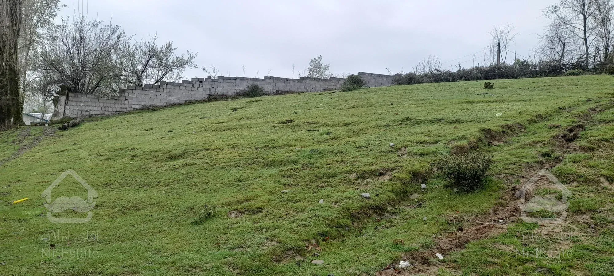 ۲۹۰متر زمین واقع در شهرستان سیاهکل