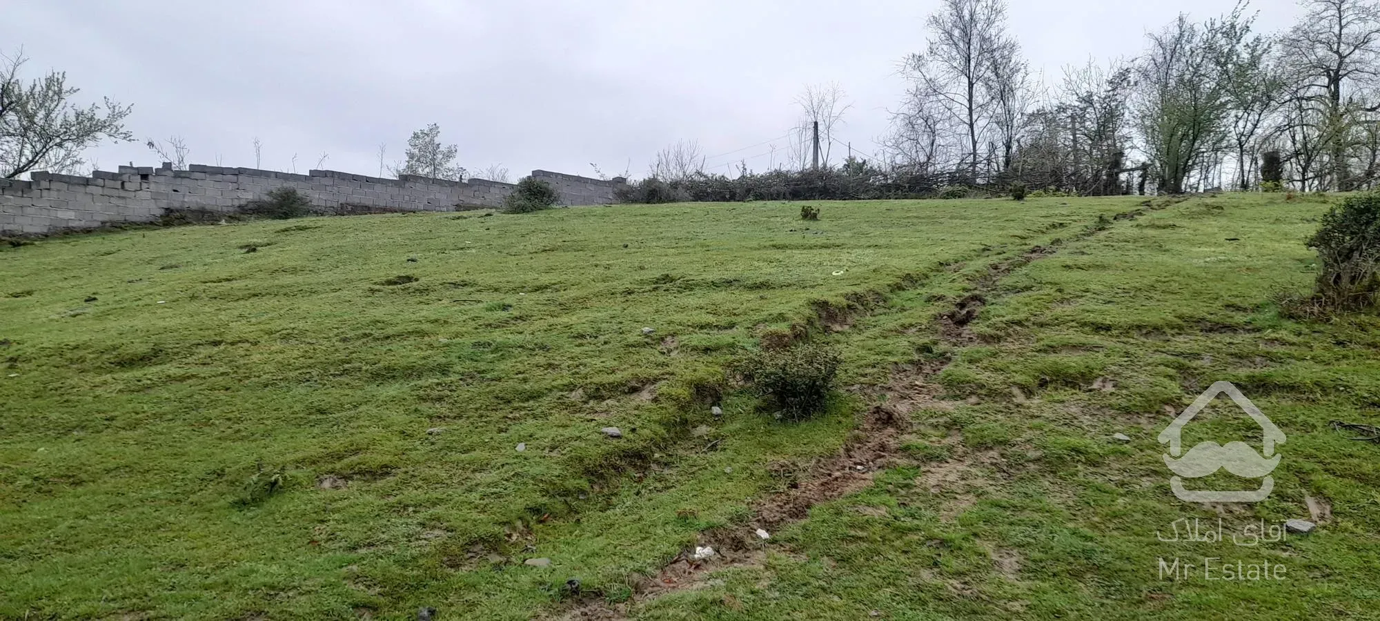 ۲۹۰متر زمین واقع در شهرستان سیاهکل