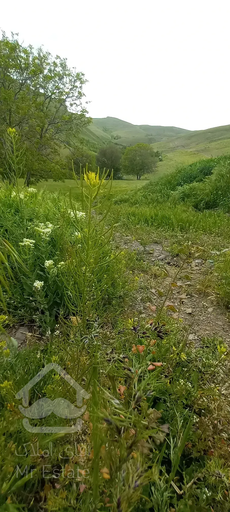 خونه ویلای ۲۳۰متر در روستای چلگان