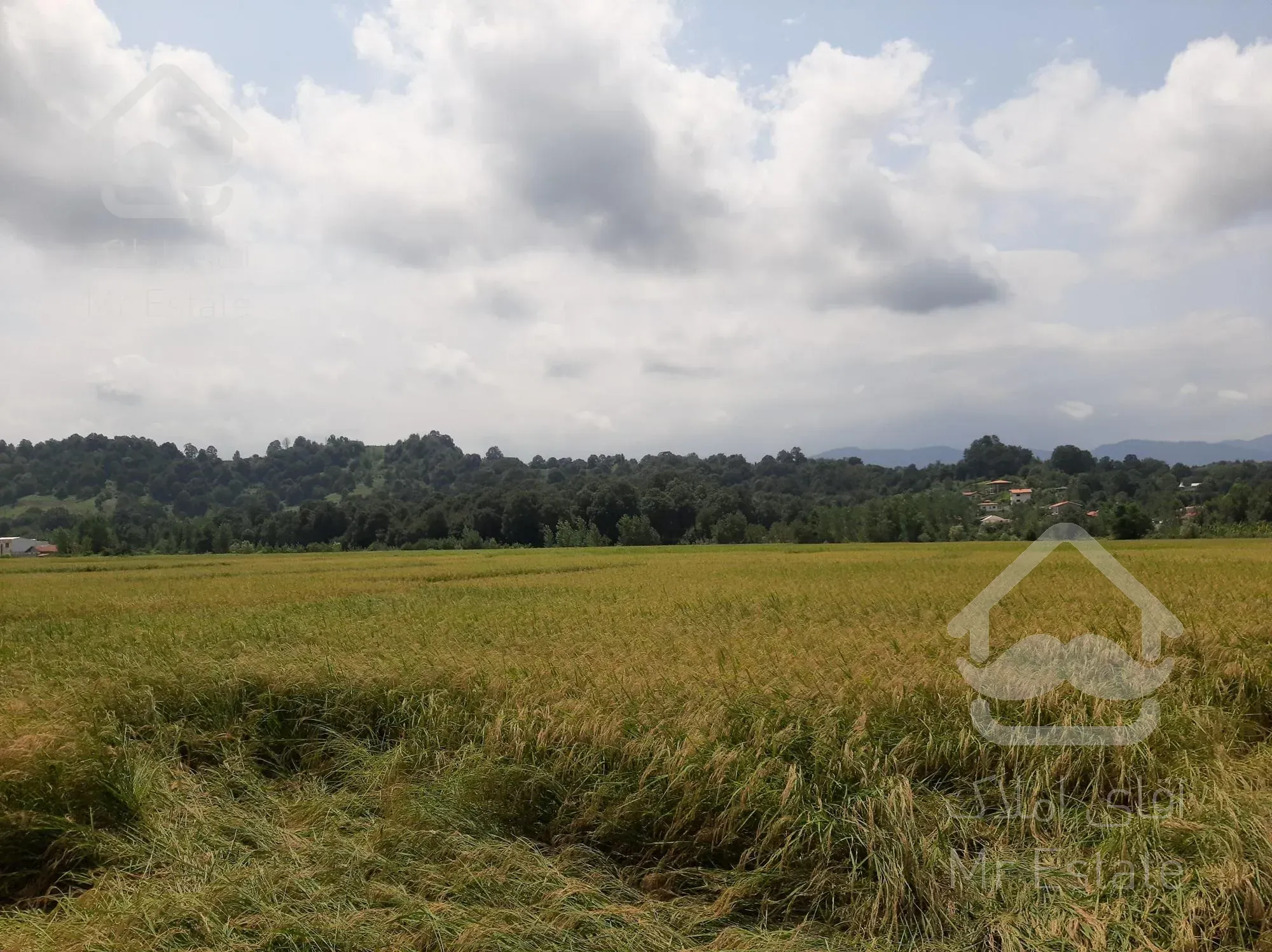 فروش زمین زراعی براصلی کتشال