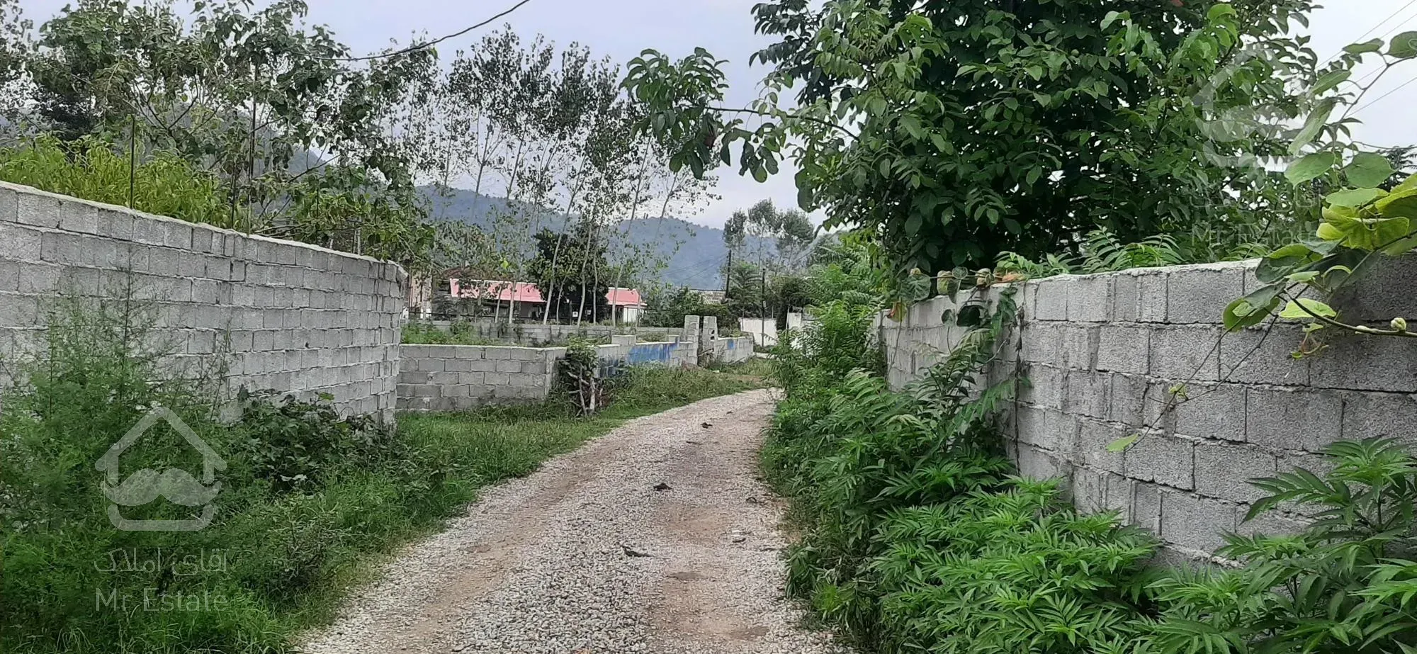 فروش زمین برند ساحلی قطعه کوچک و کلی/تالش شهر لیسار