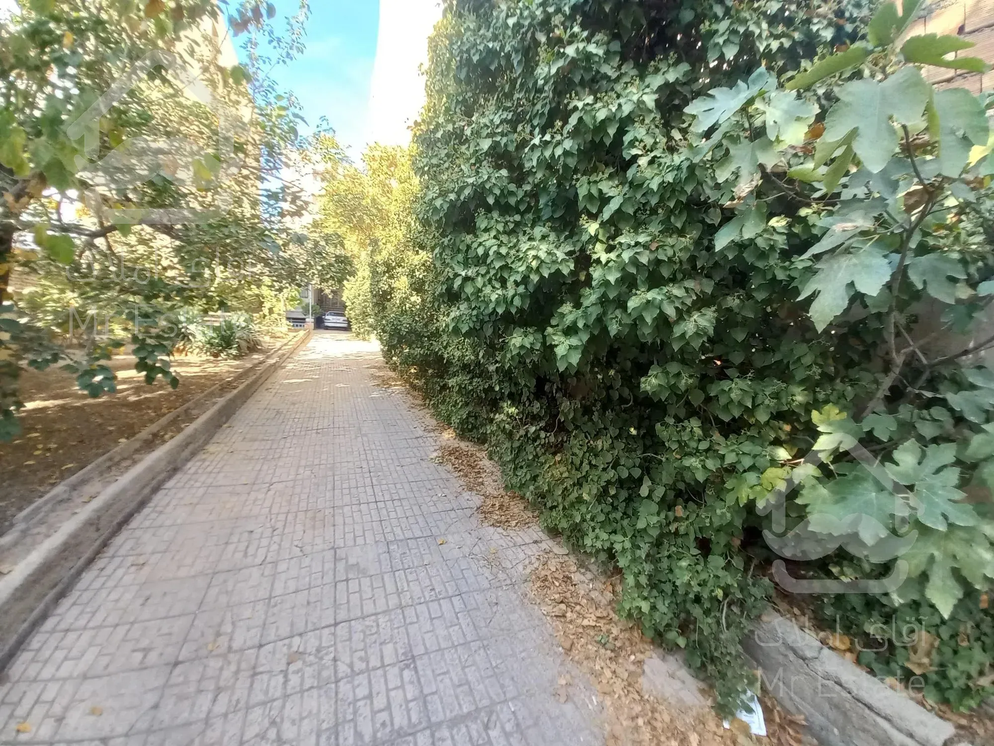 ویلایی 500 متری