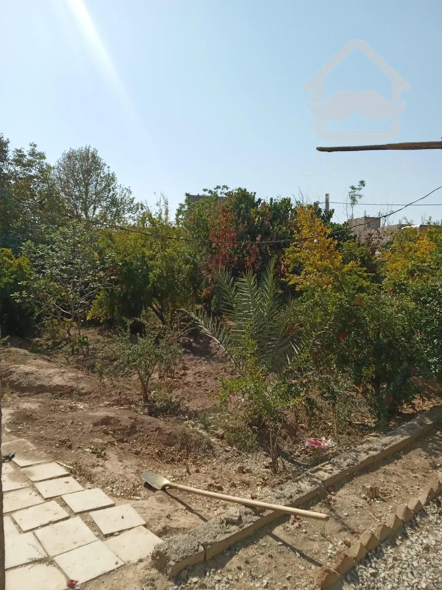 پاکدشت: شریف آباد کریم آباد سند دار داخل بافت