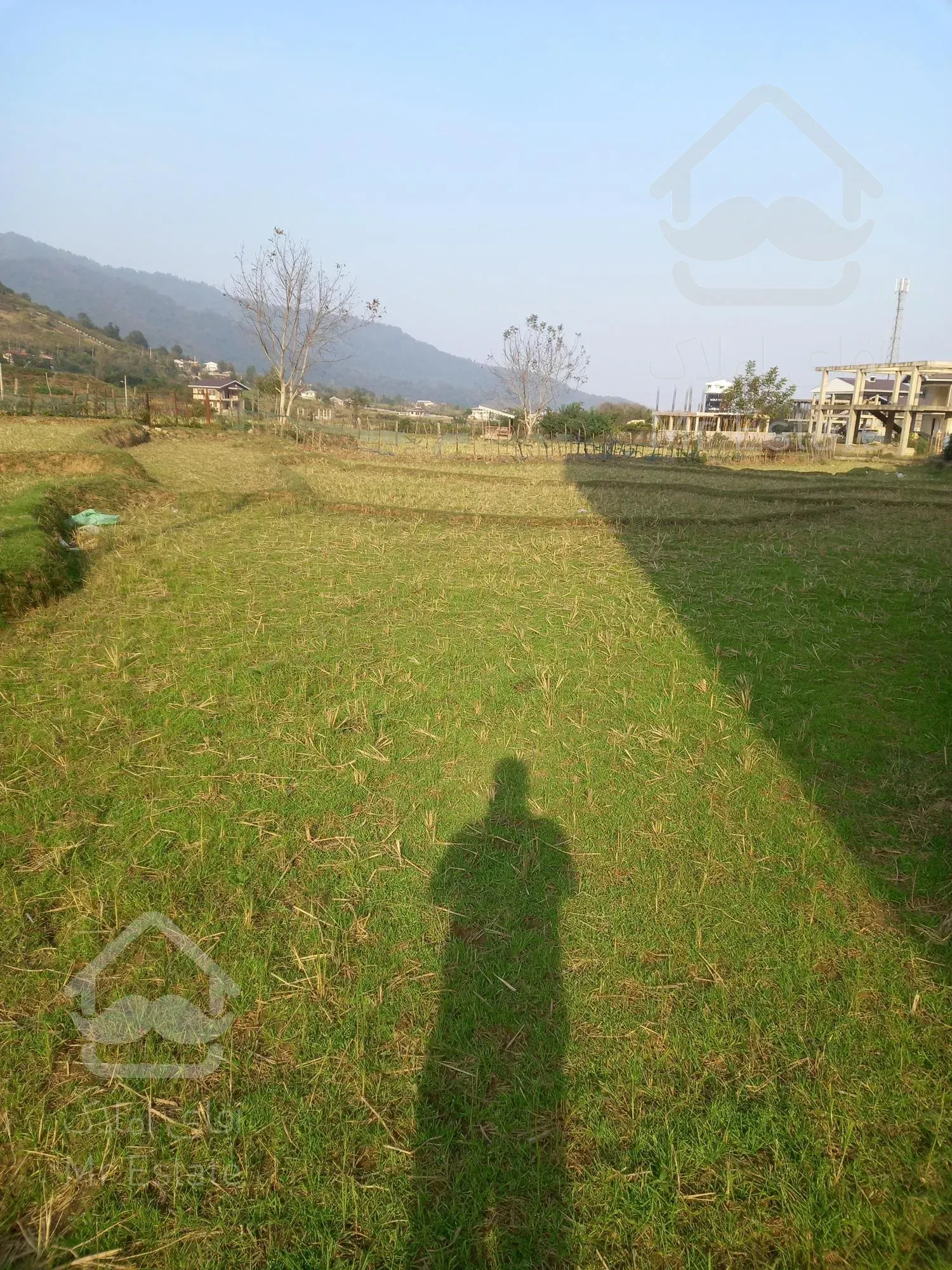 فروش زمین کشاورزی کنار جاده اصلی