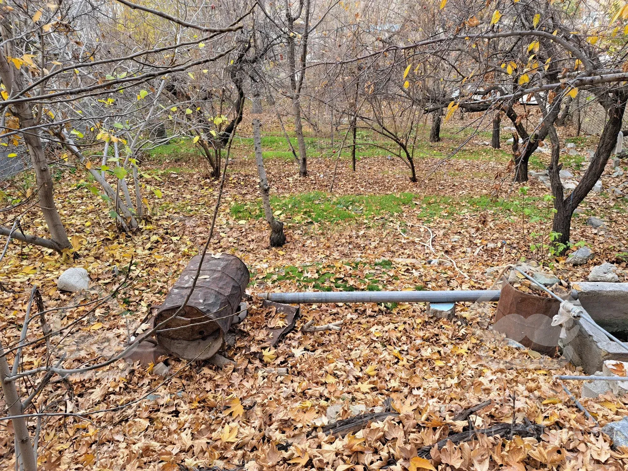 فروش زمین ۶۰۰ متری جاجرود زیر قیمت