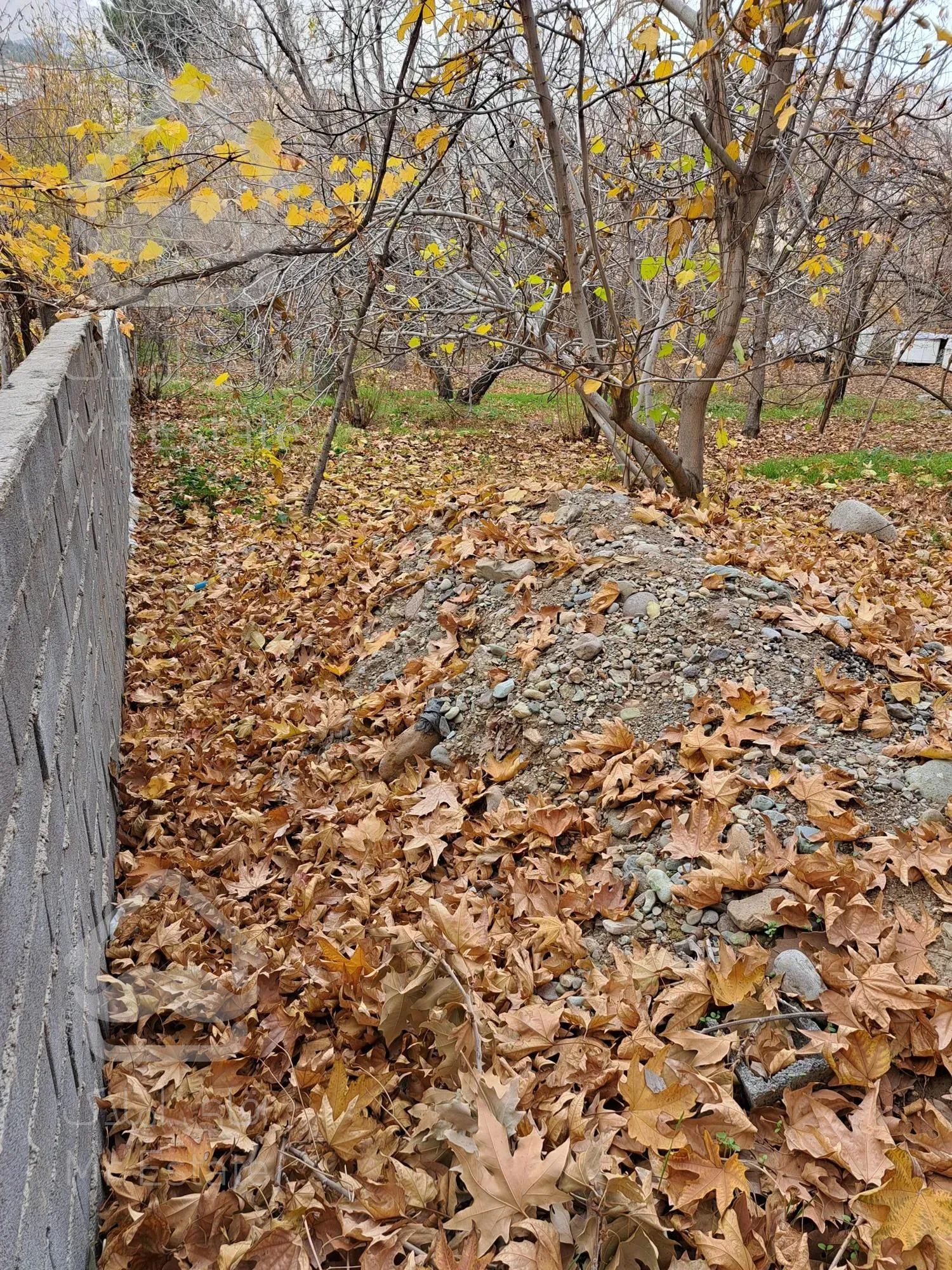 فروش زمین ۶۰۰ متری جاجرود زیر قیمت