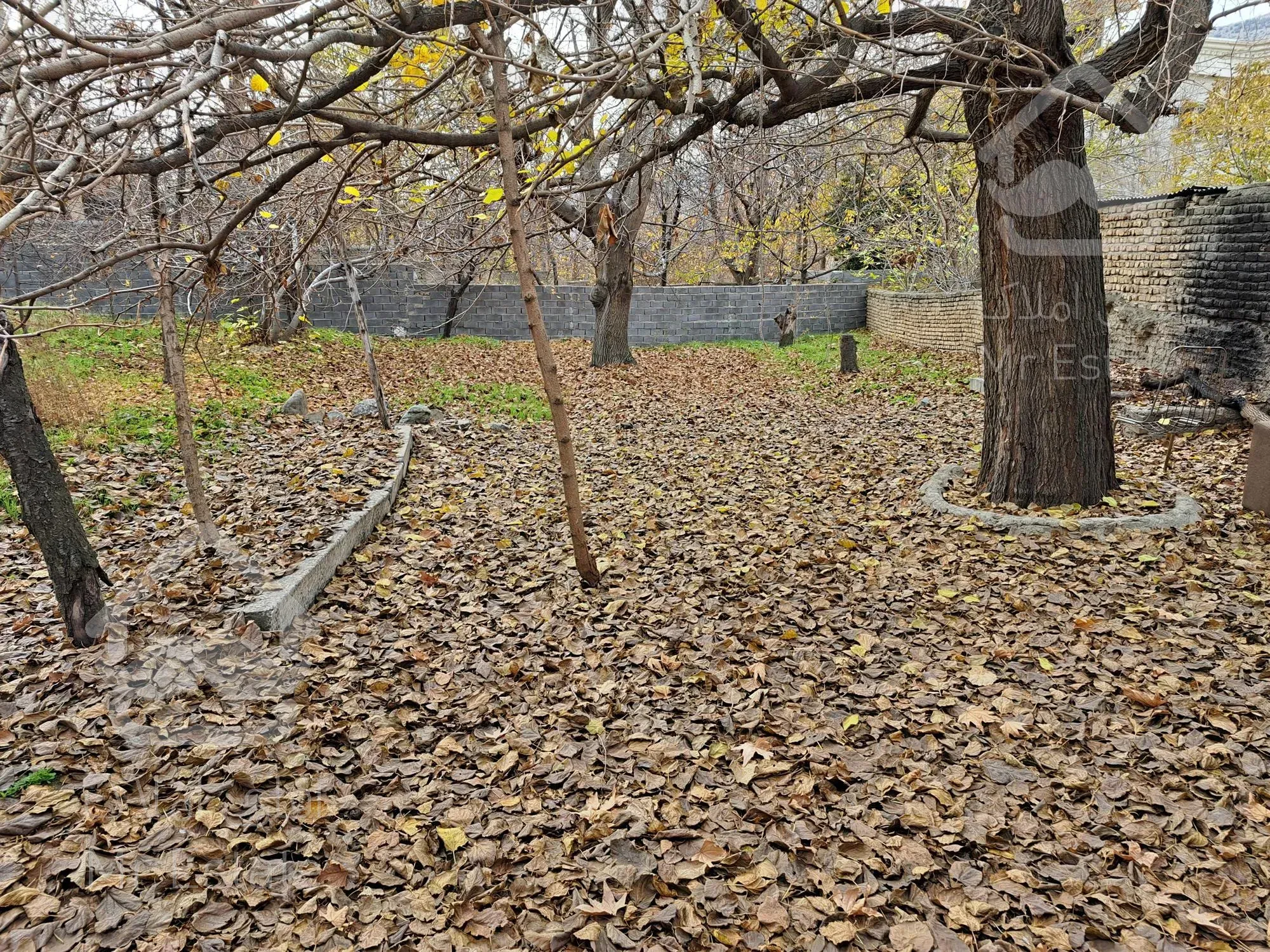 فروش زمین ۶۰۰ متری جاجرود زیر قیمت