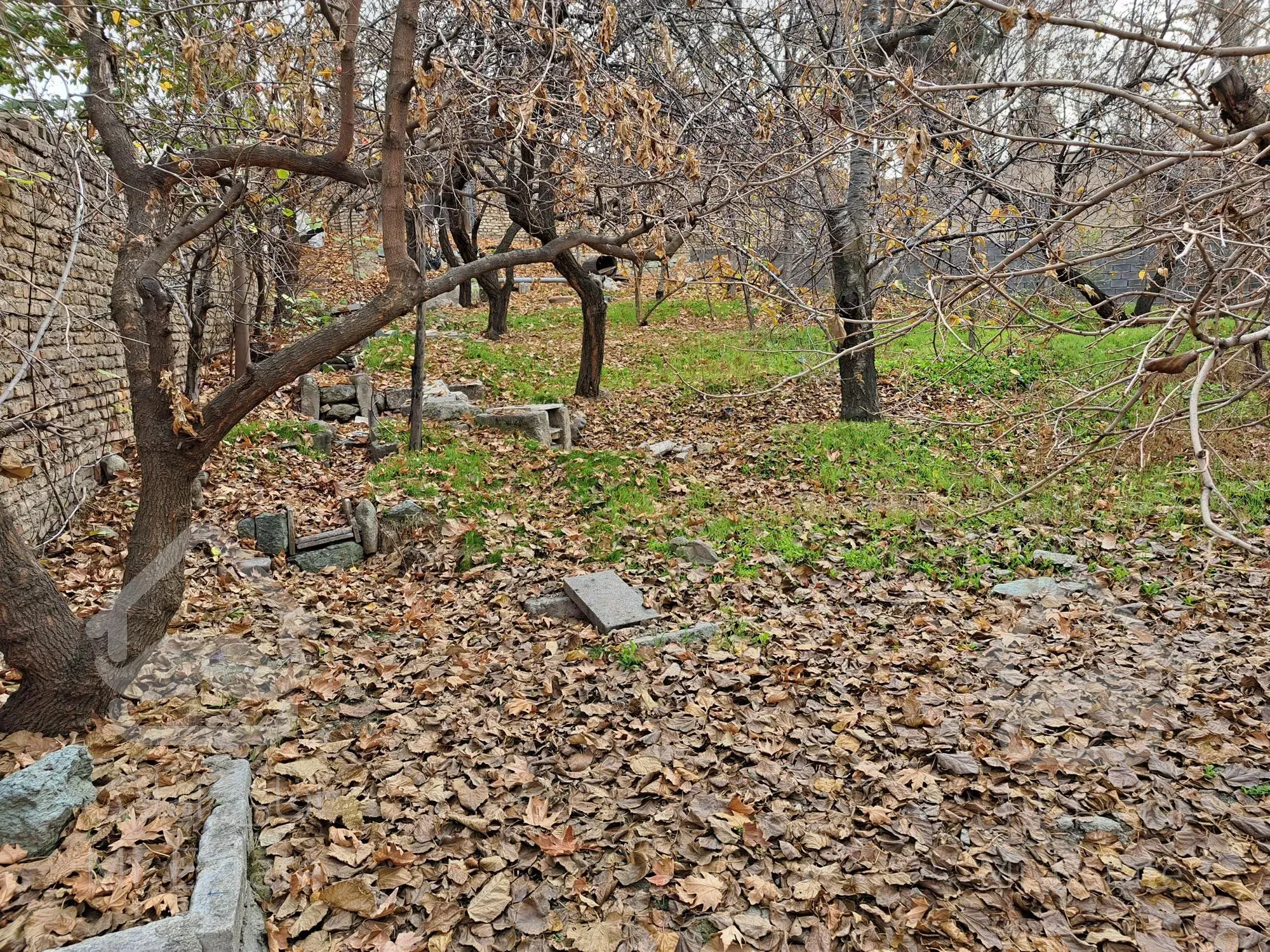 فروش زمین ۶۰۰ متری جاجرود زیر قیمت