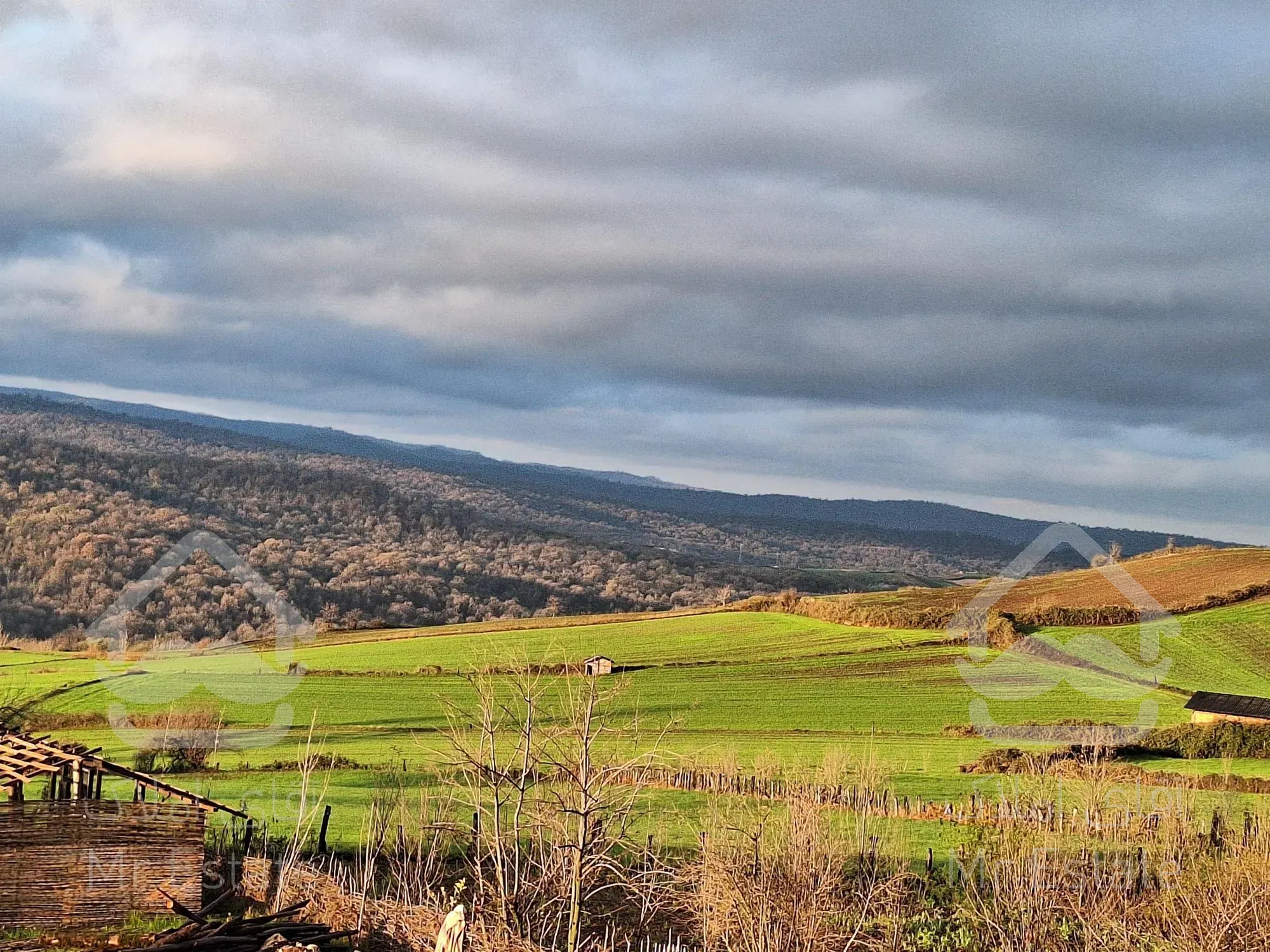 فروش زمین جنگلی-کوهستانی