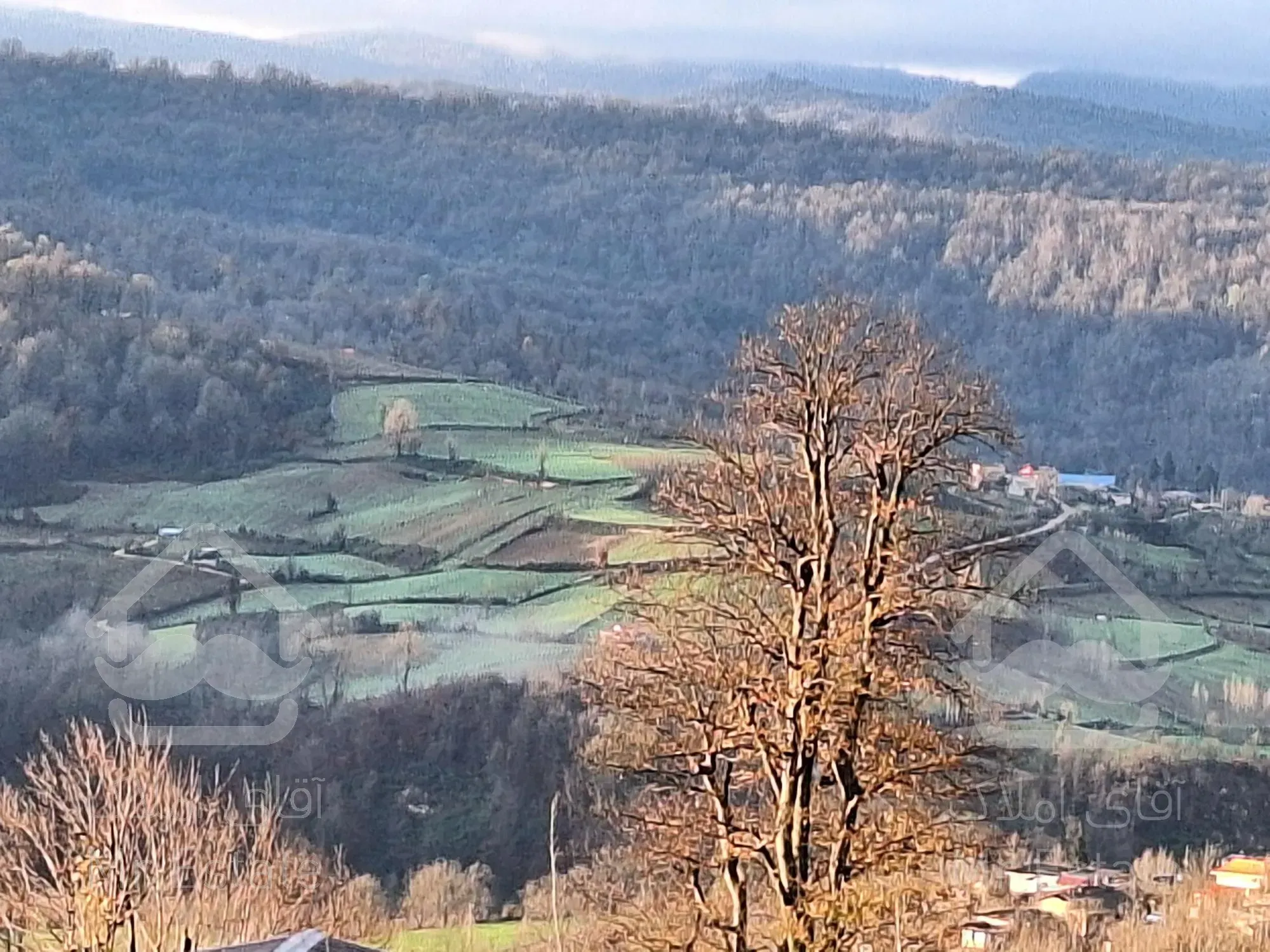 فروش زمین جنگلی-کوهستانی