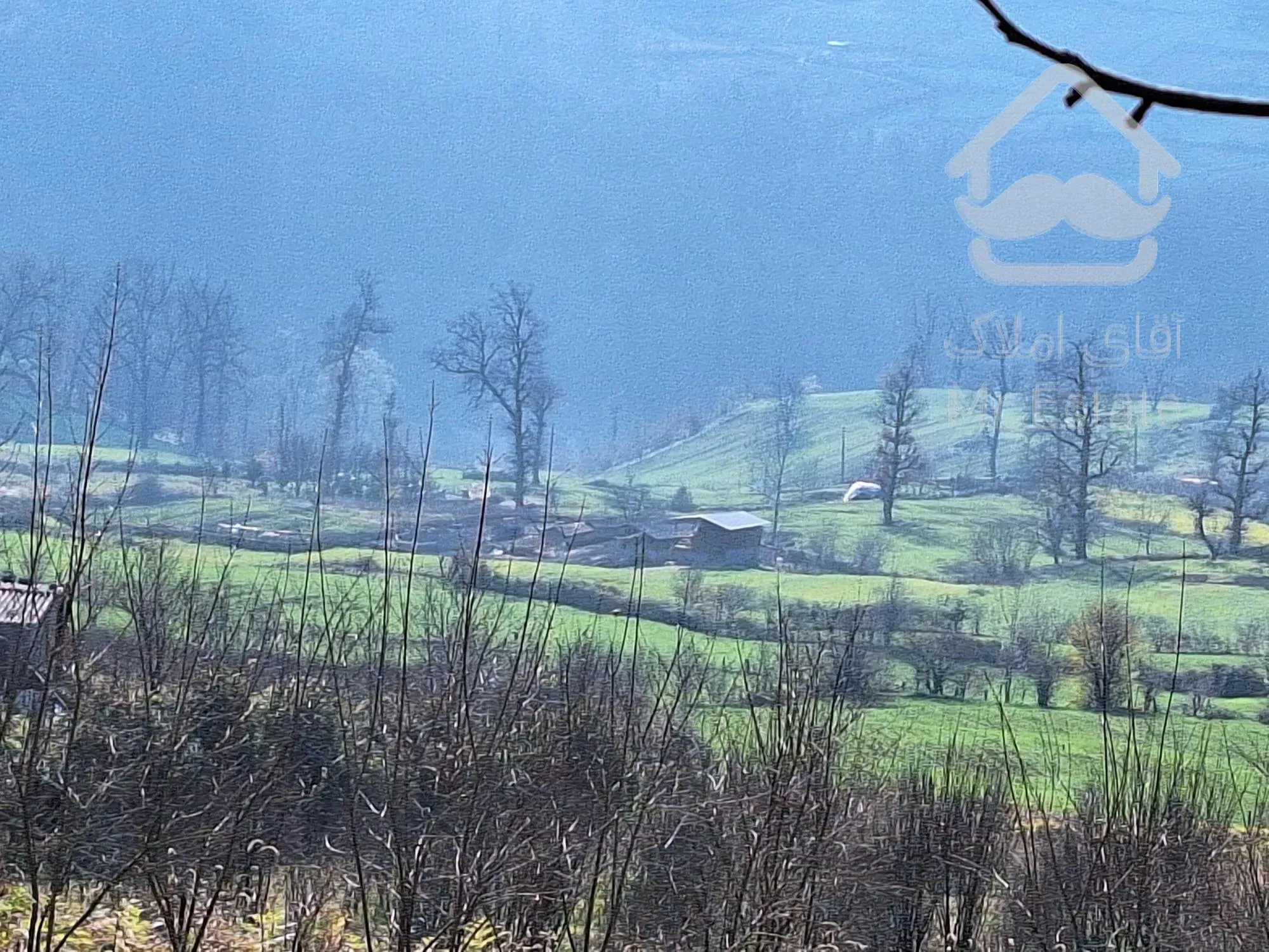 فروش زمین جنگلی-کوهستانی