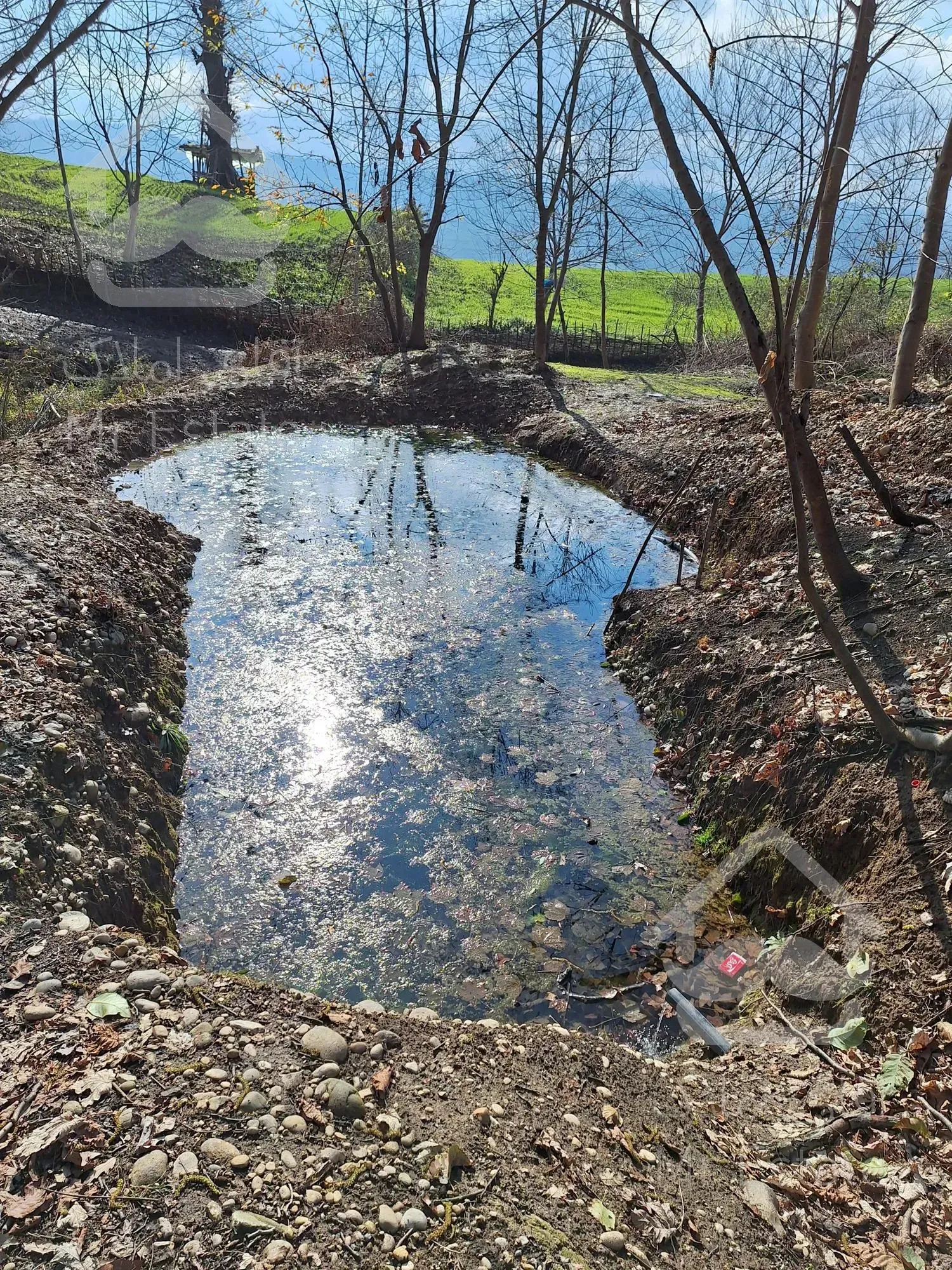 فروش زمین جنگلی-کوهستانی