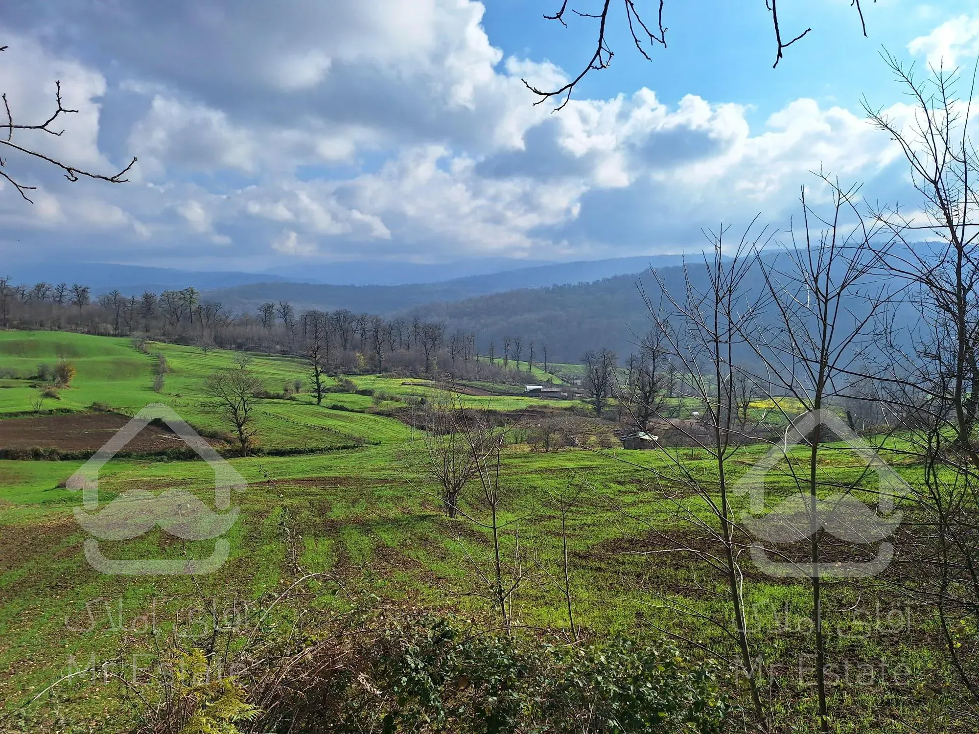 فروش زمین جنگلی-کوهستانی