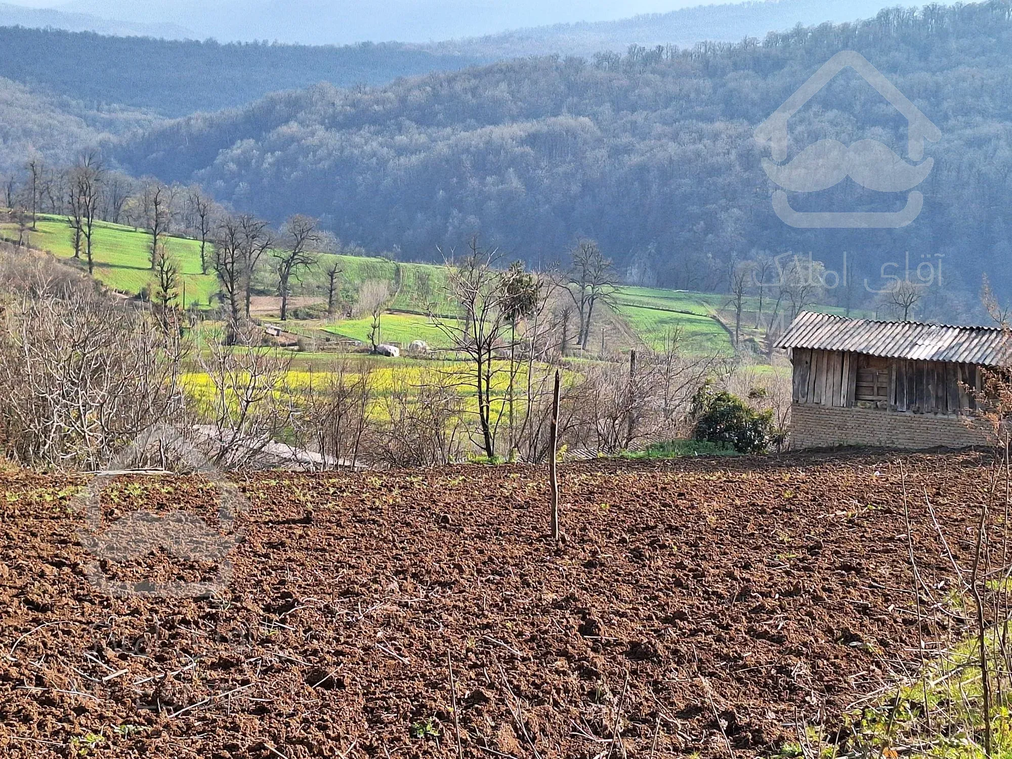 فروش زمین جنگلی-کوهستانی