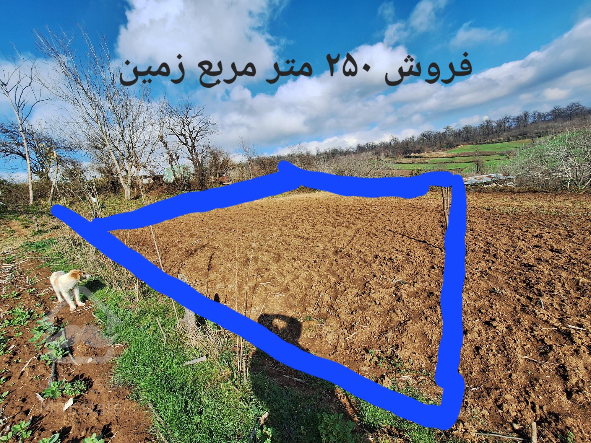 فروش زمین جنگلی-کوهستانی