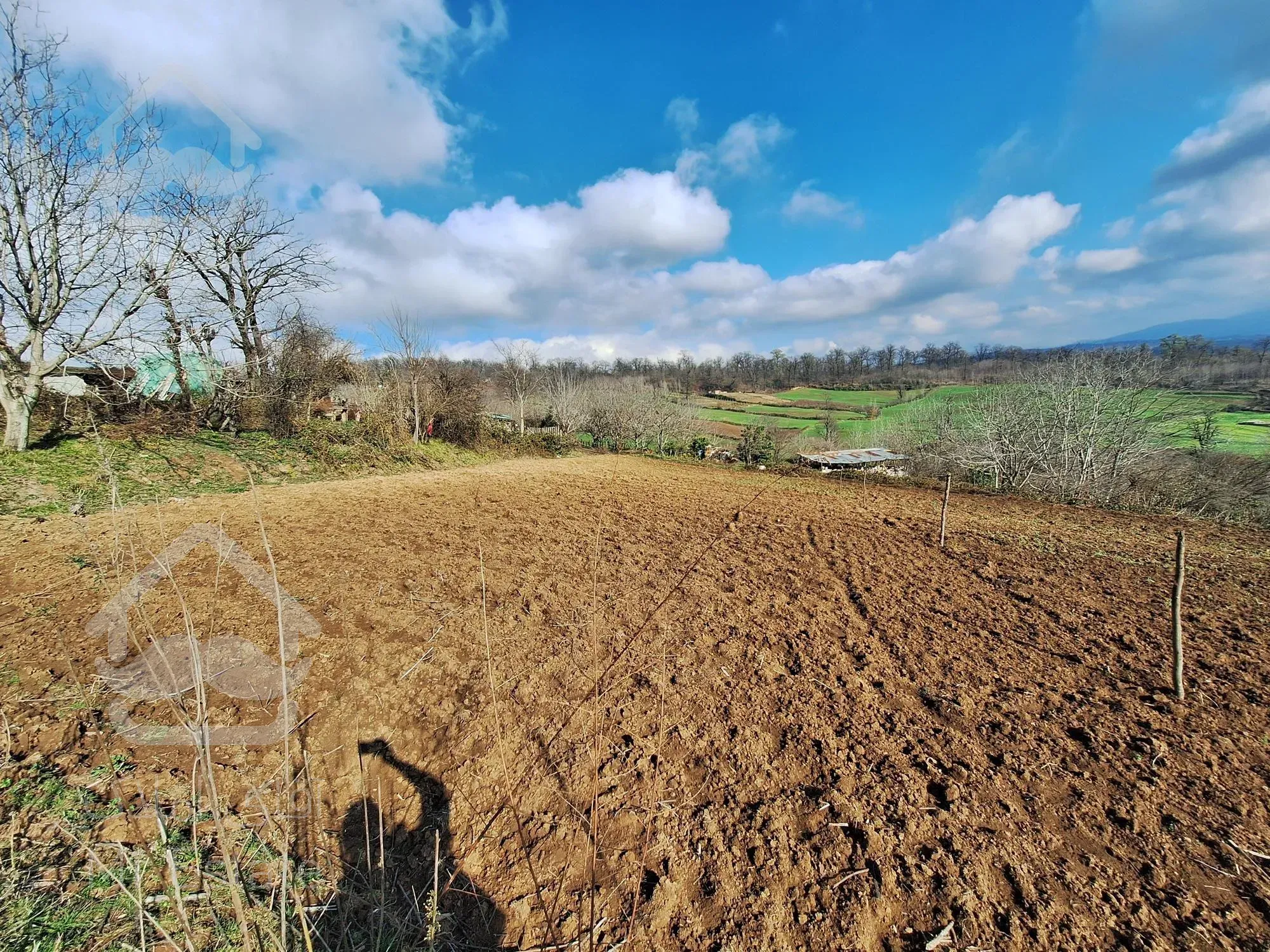 فروش زمین جنگلی-کوهستانی