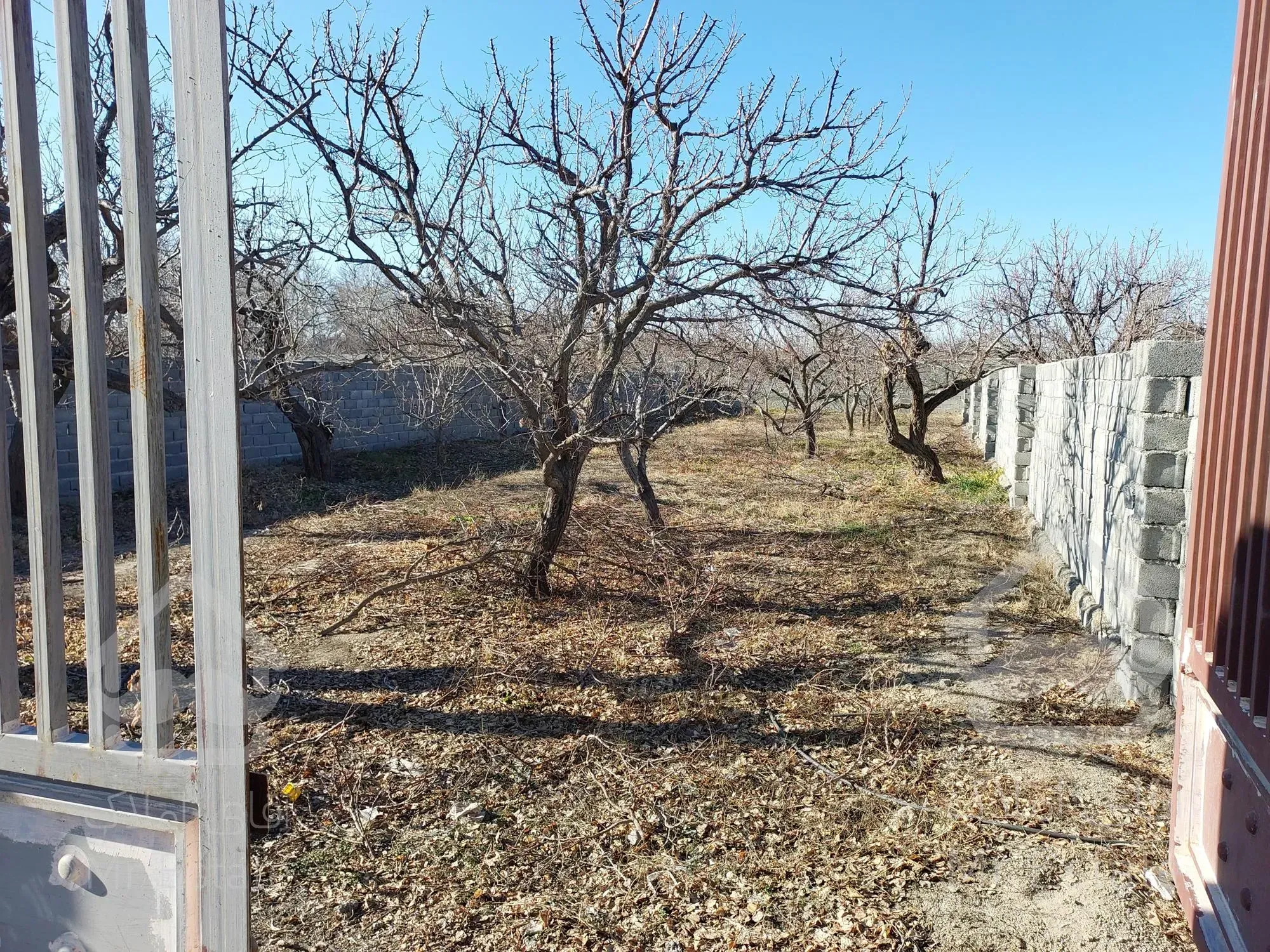 خرید باغچه ۴دیواری  شرایط ویژه با سند تک برگ