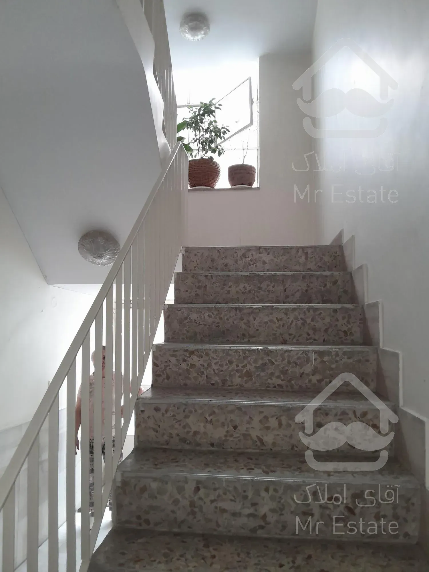 کلنگی الهیه فرعی دنج قیمت مناسب