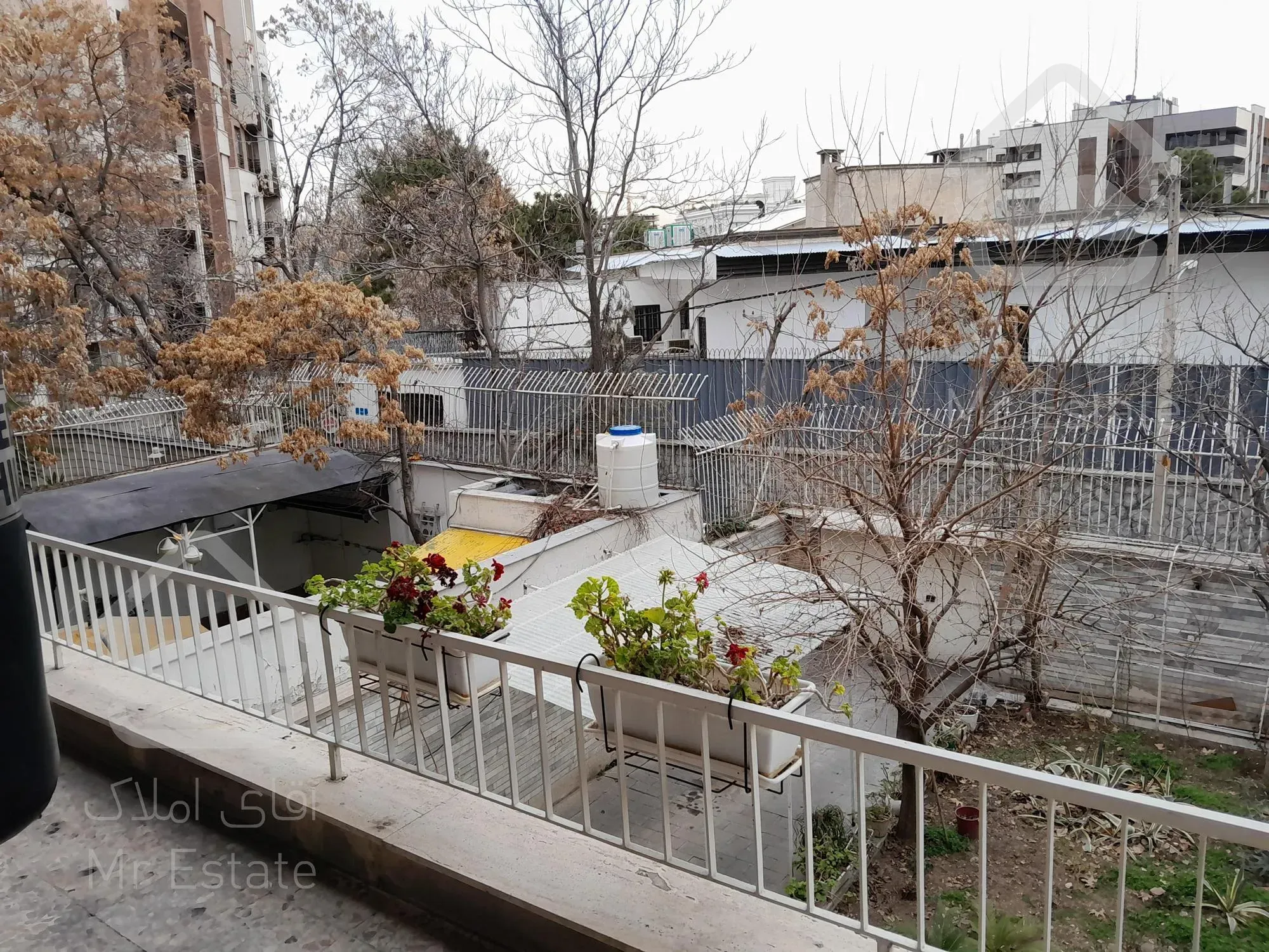 کلنگی الهیه فرعی دنج قیمت مناسب