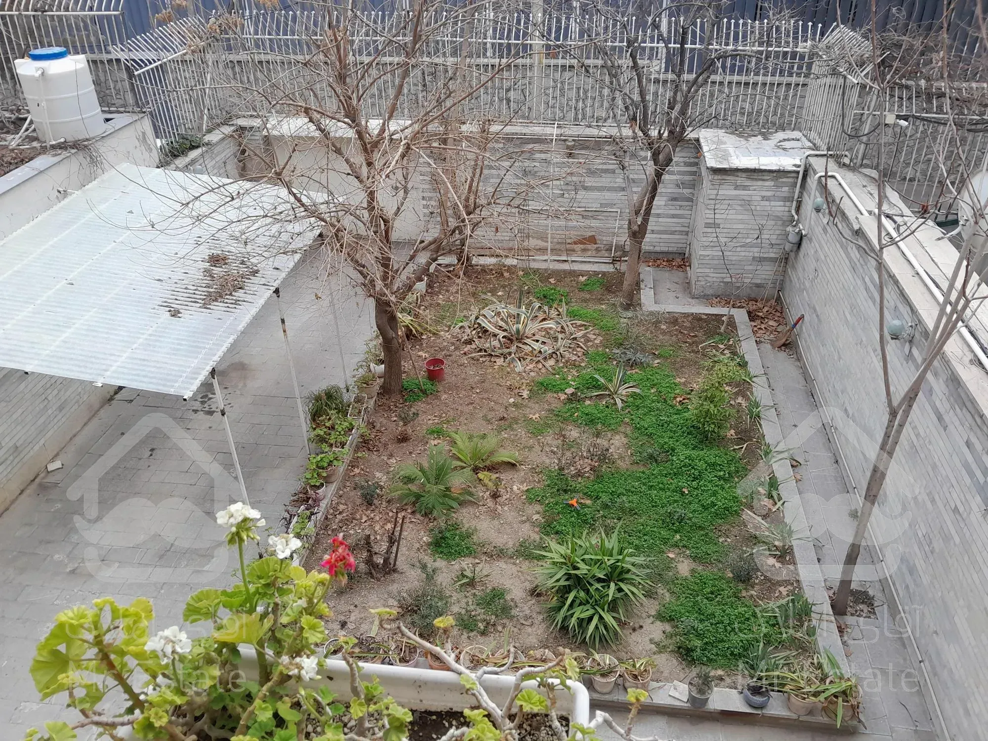 کلنگی الهیه فرعی دنج قیمت مناسب