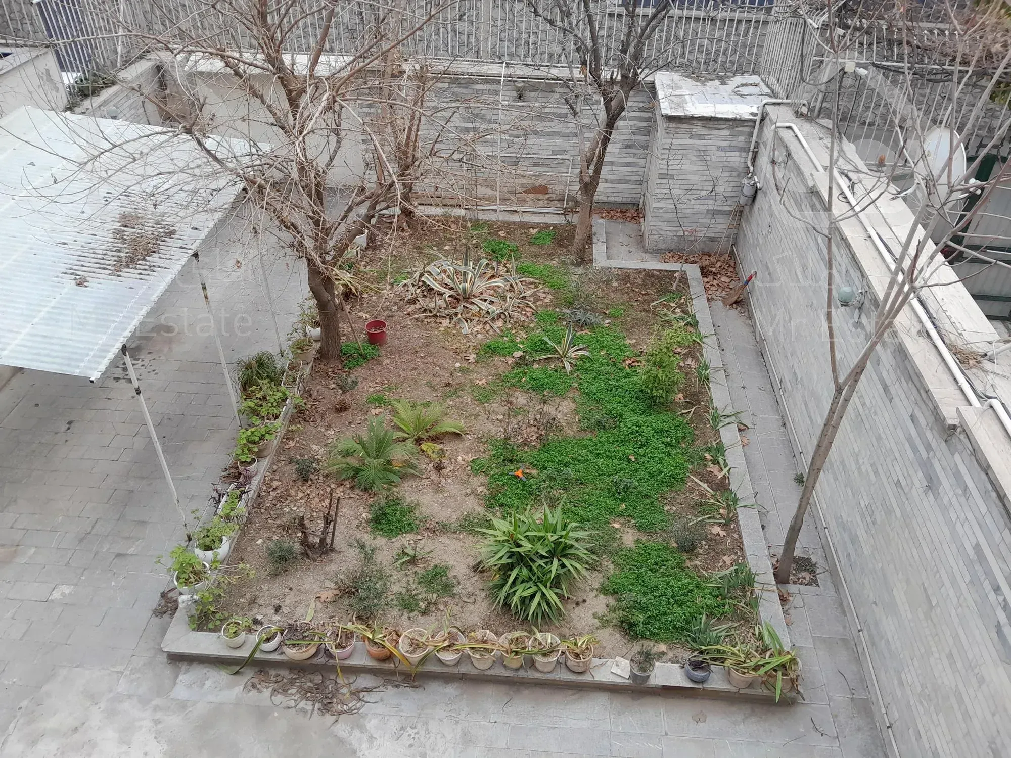 کلنگی الهیه فرعی دنج قیمت مناسب