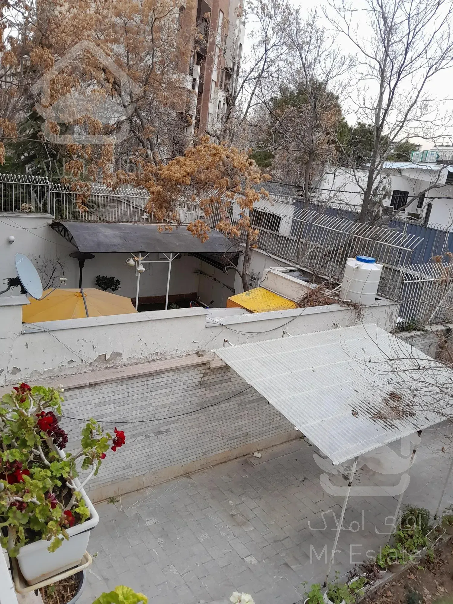 کلنگی الهیه فرعی دنج قیمت مناسب