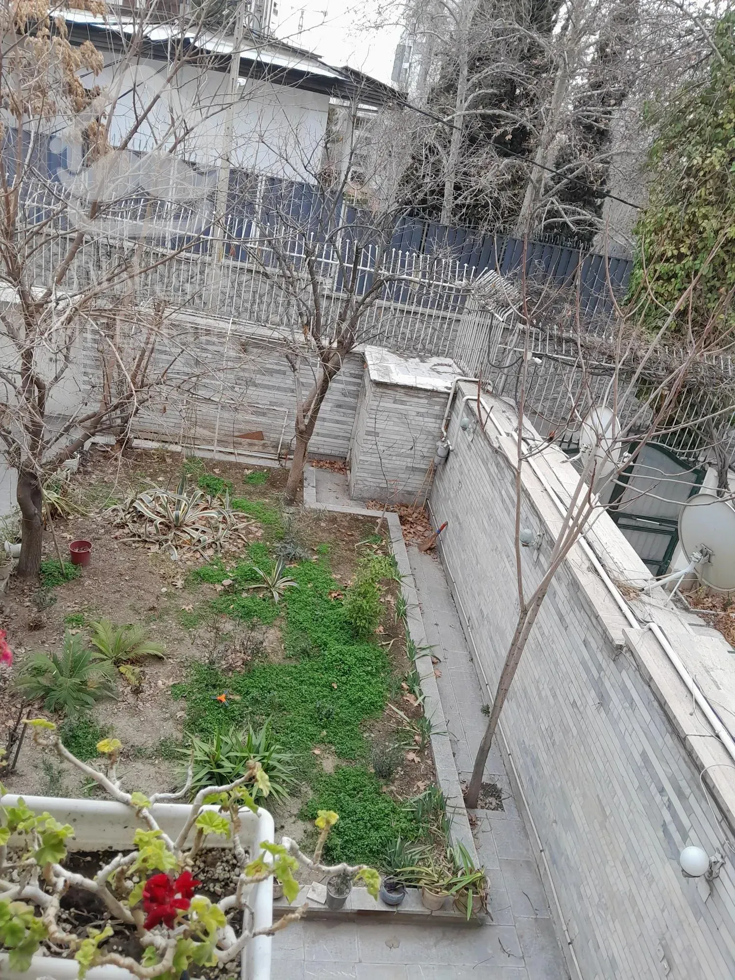 کلنگی الهیه فرعی دنج قیمت مناسب