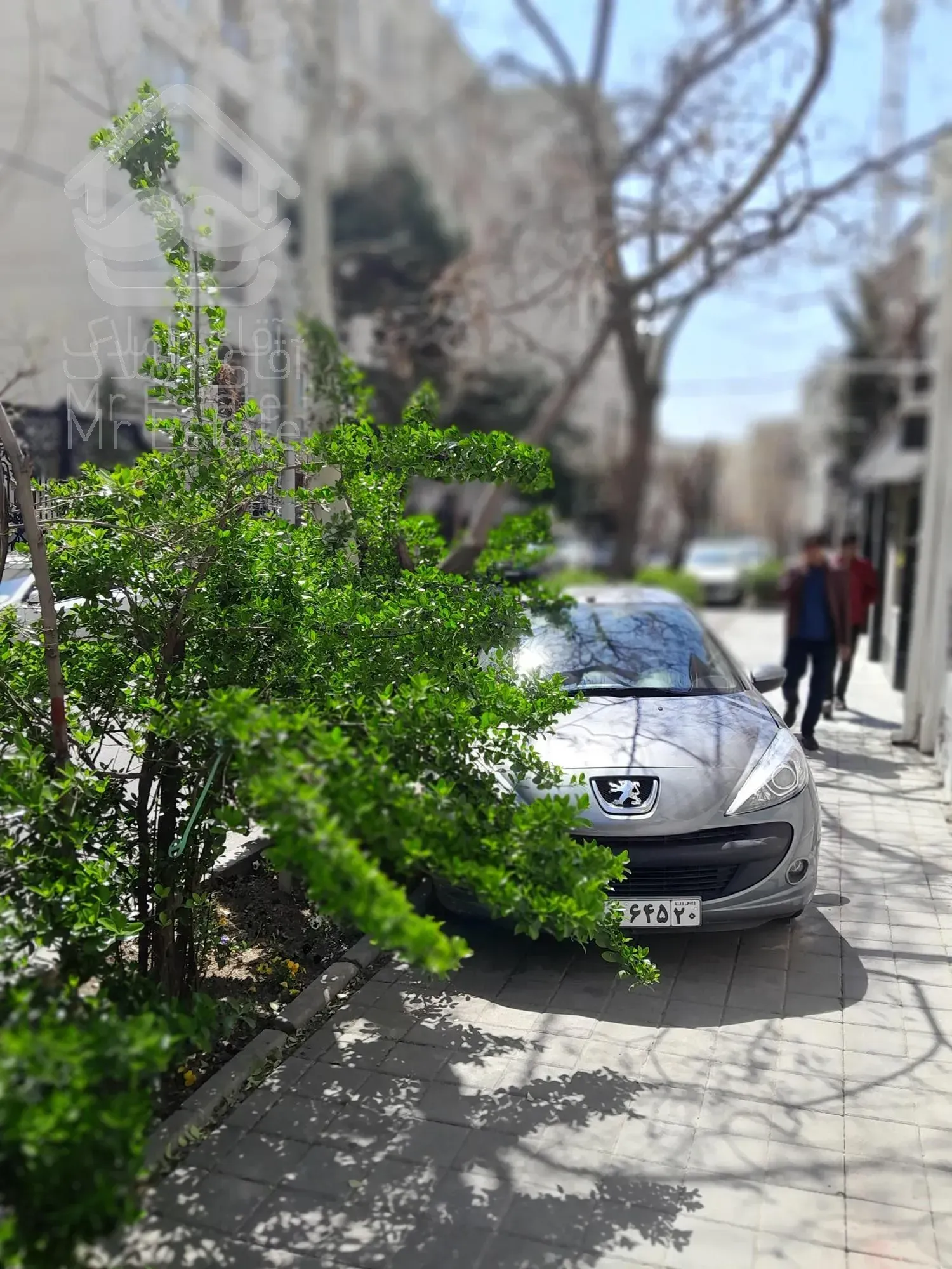 زعفرانیه کلنگی