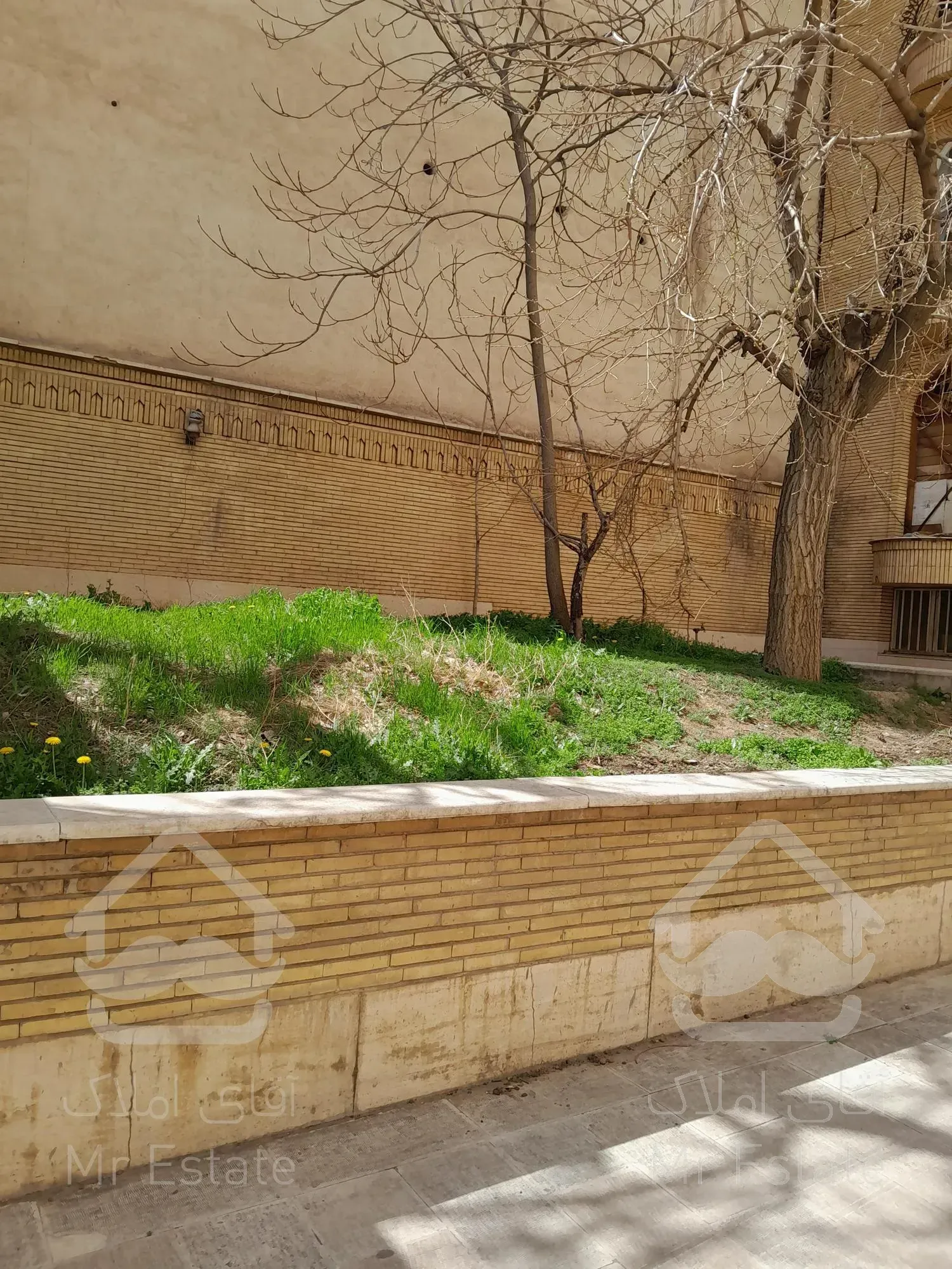 زعفرانیه کلنگی