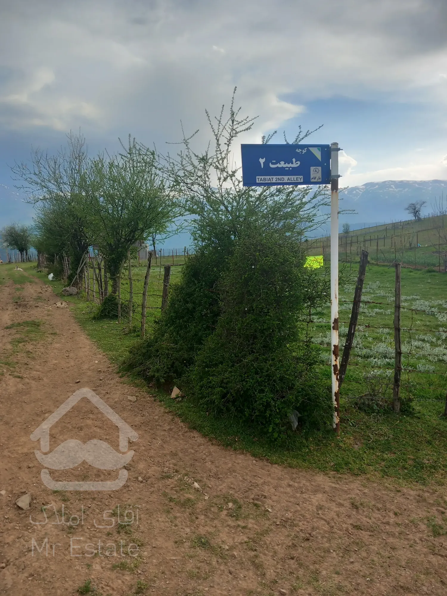 زمین فروی فروشی